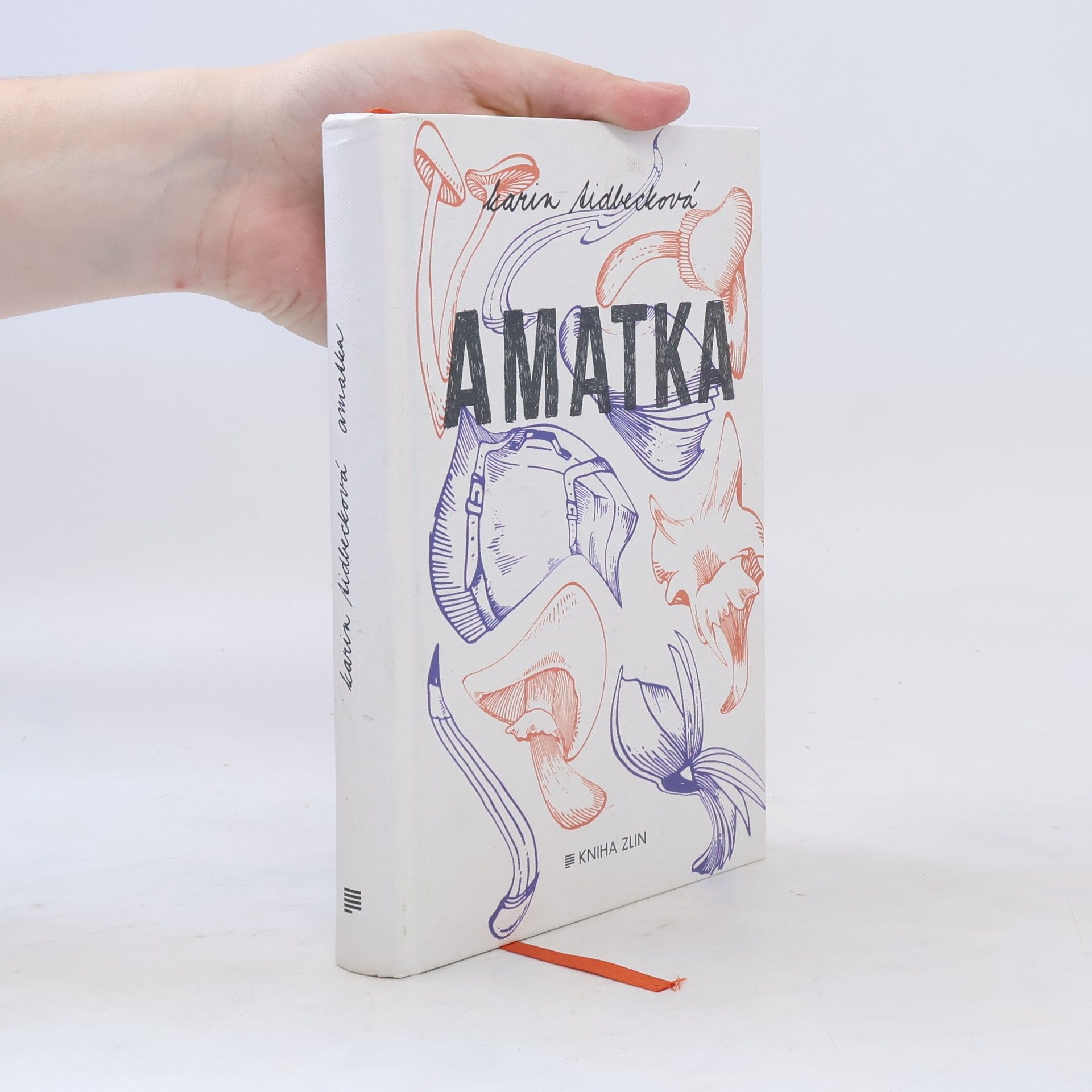 Karin Tidbeck Amatka