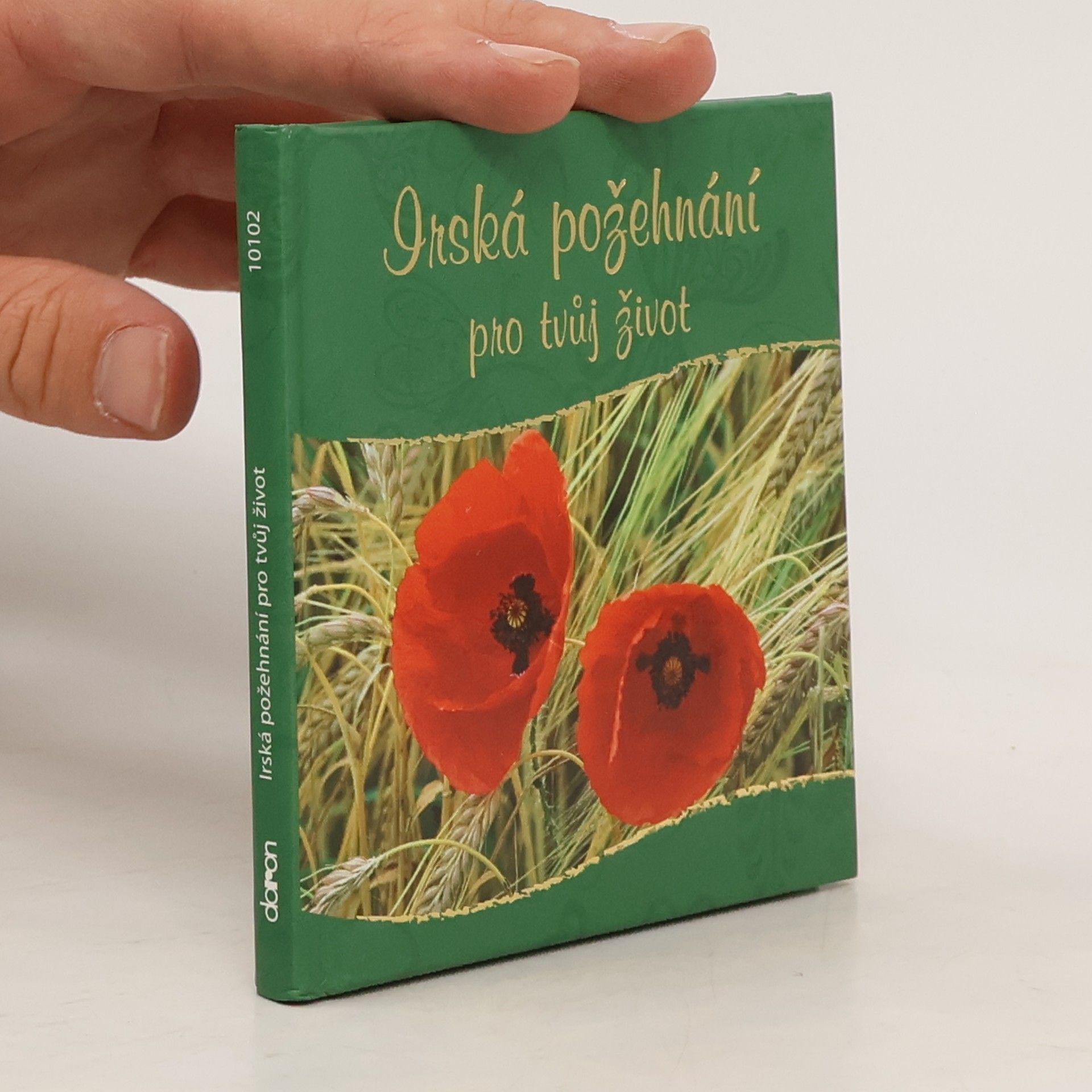 Autorenkollektiv Irská požehnání pro tvůj život