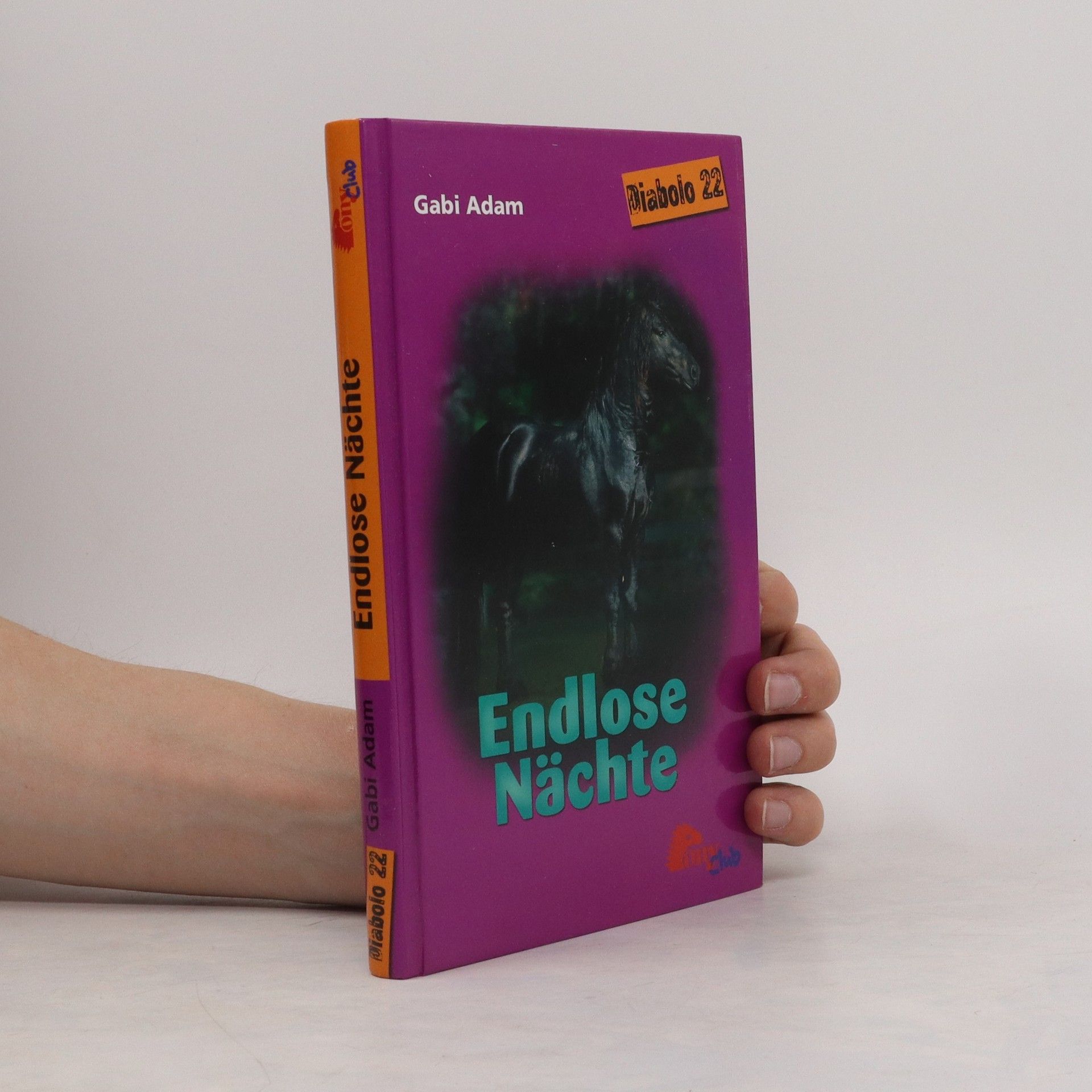 Gabi Adam Endlose Nächte (Diablo #22)