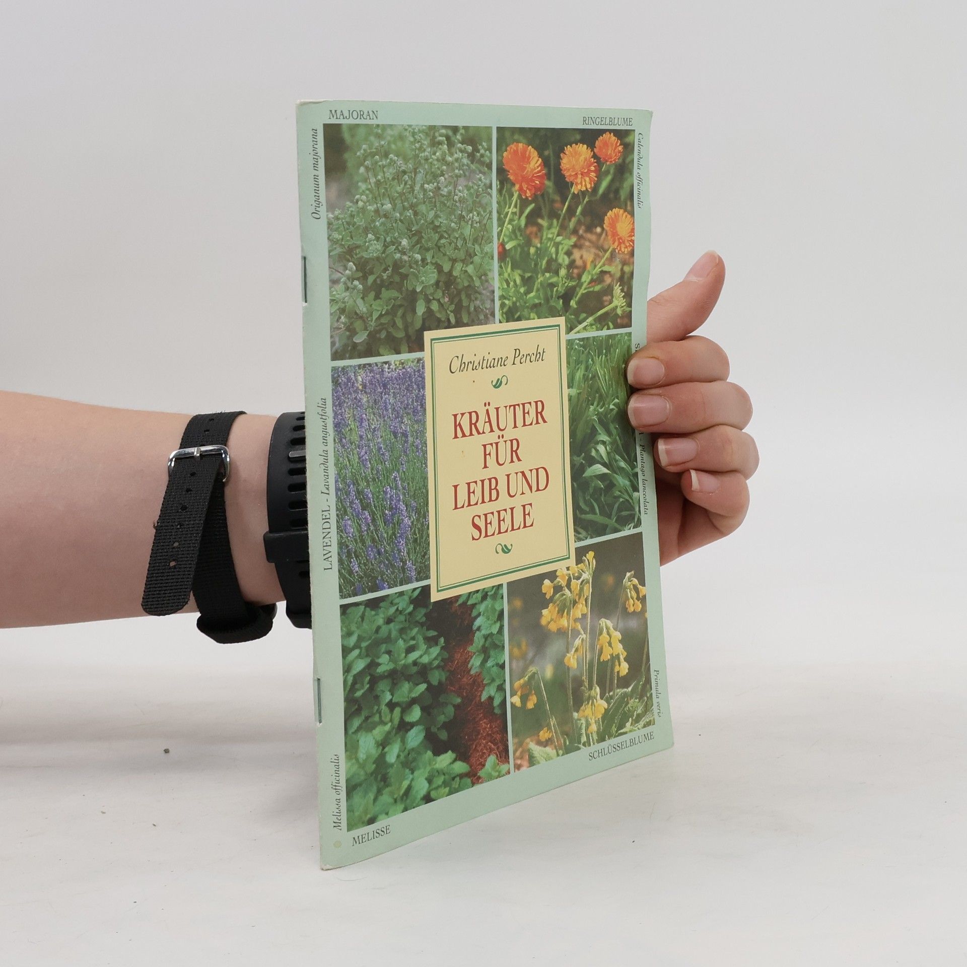 Christiane Percht Kräuter für Leib und Seele
