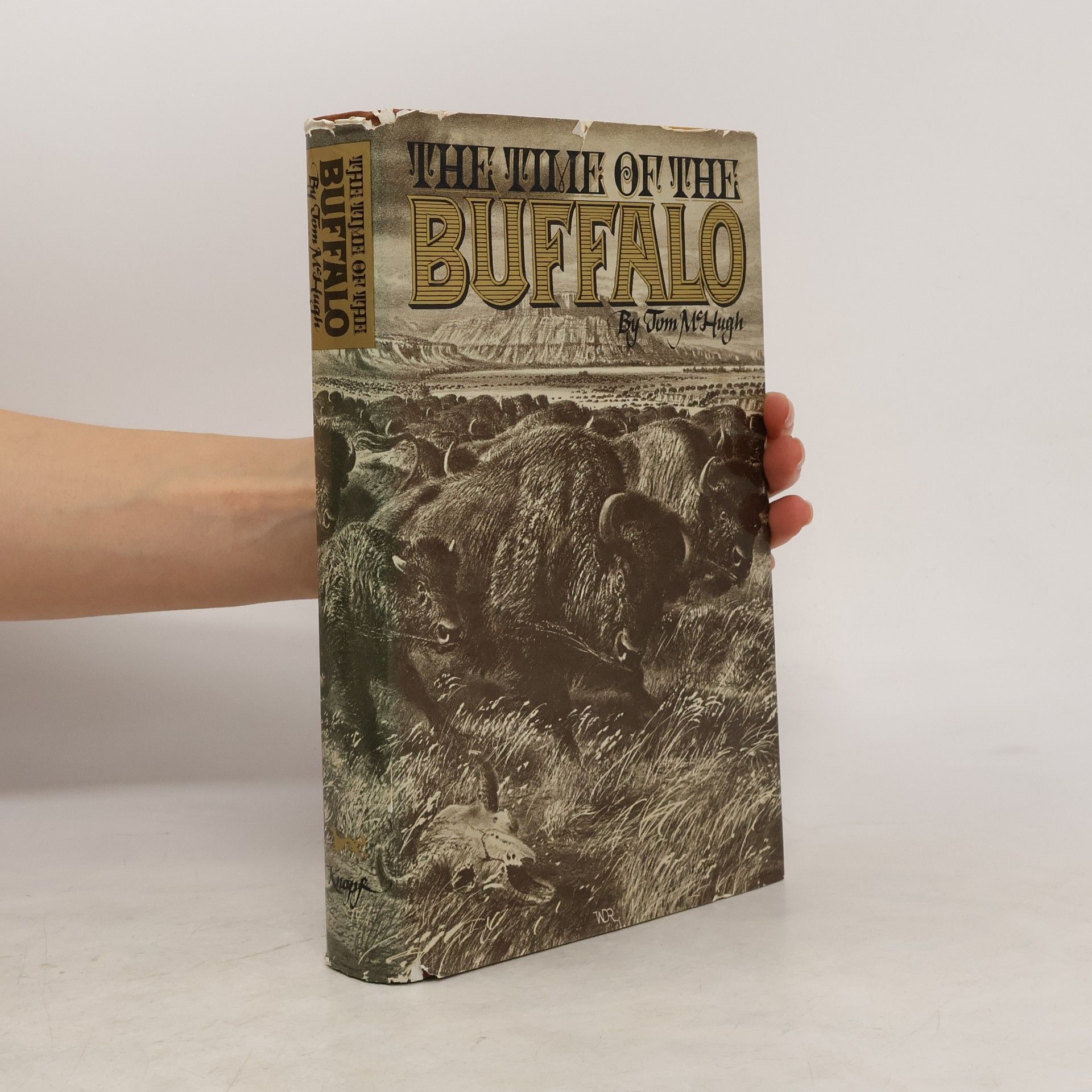 Tom McHugh The Time of the Buffalo