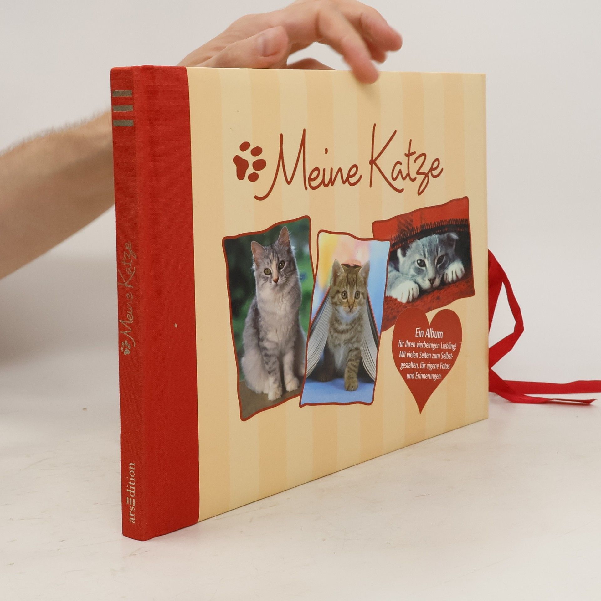 Autorenkollektiv Meine Katze