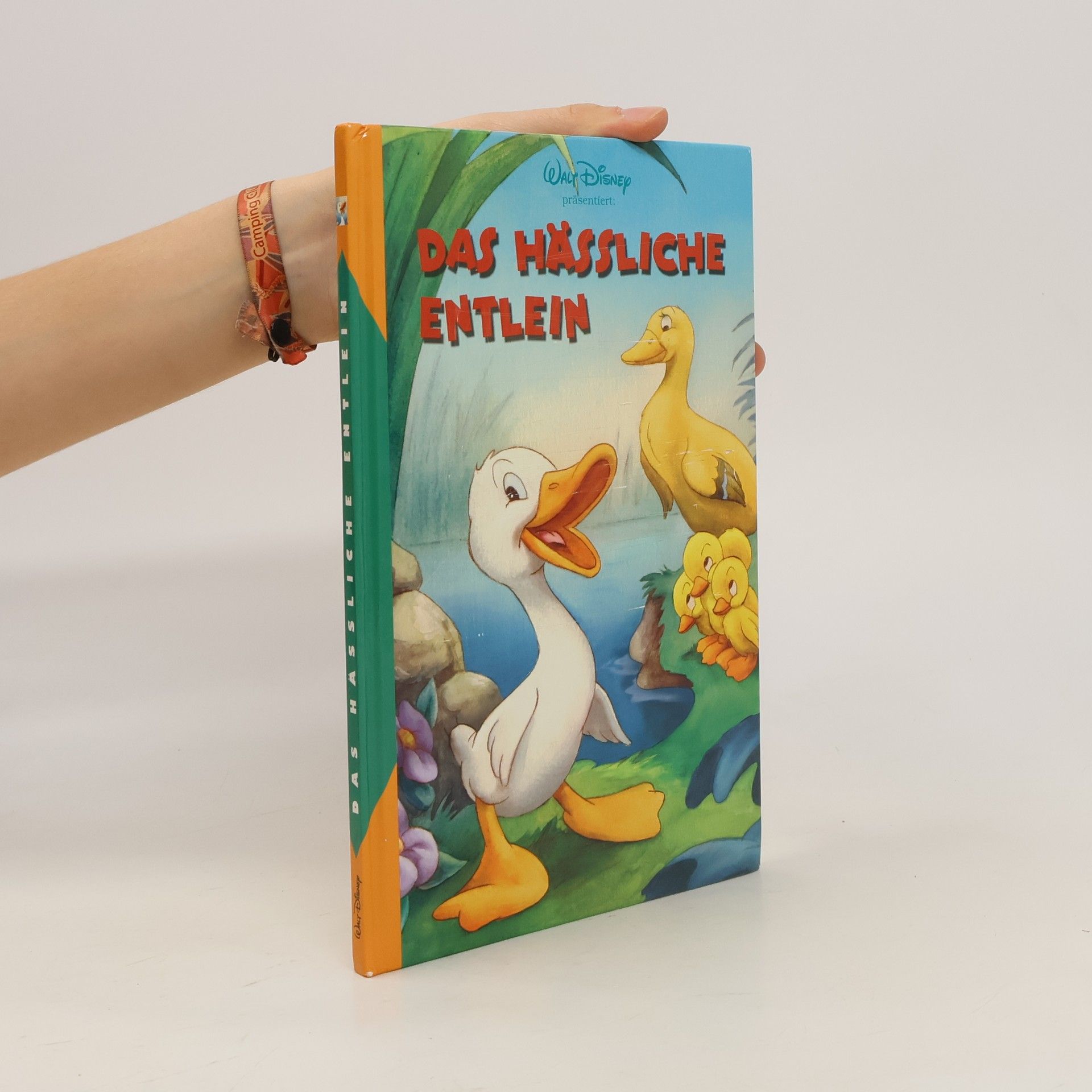 kolektiv Das hässliche Entlein