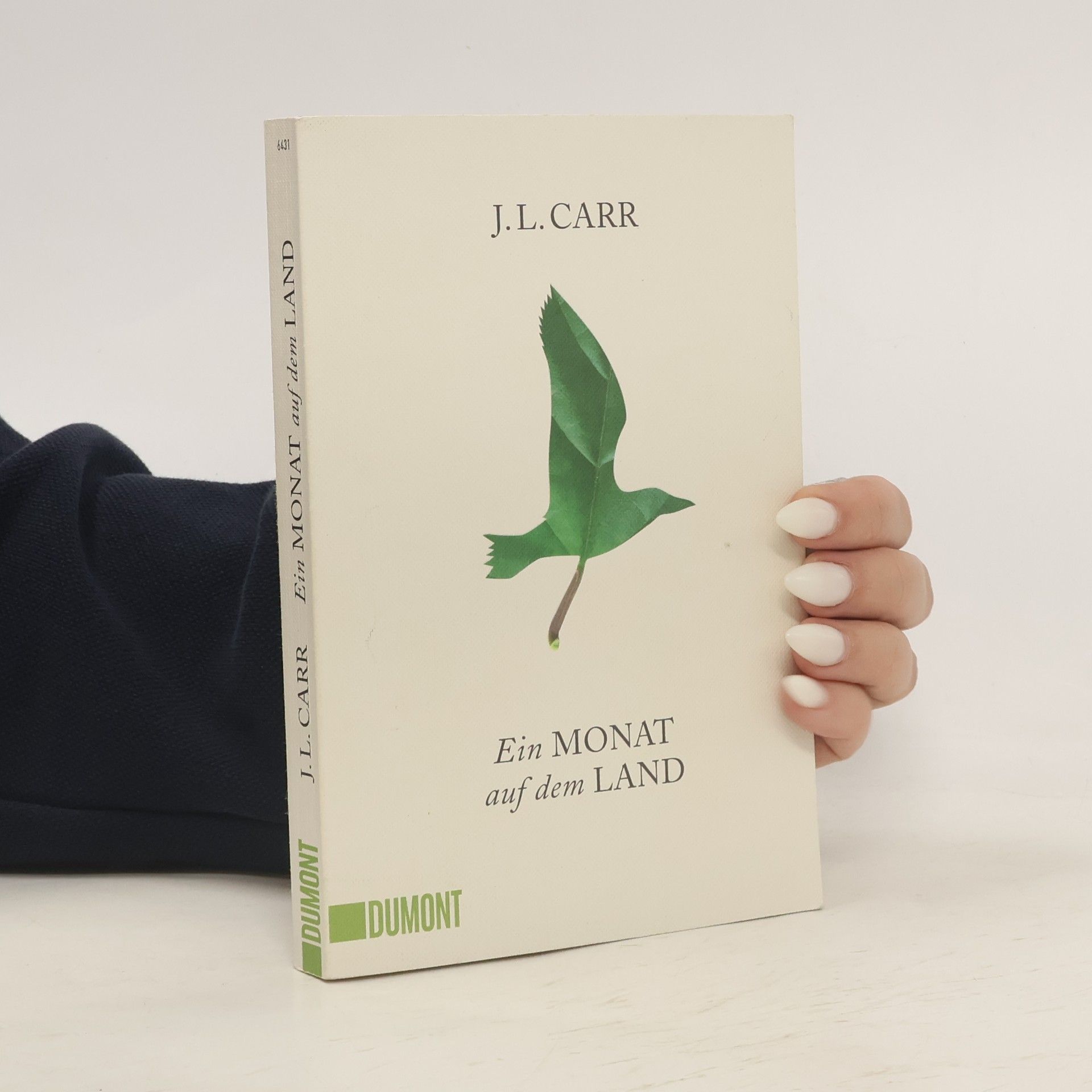 J. L. Carr Ein Monat auf dem Land