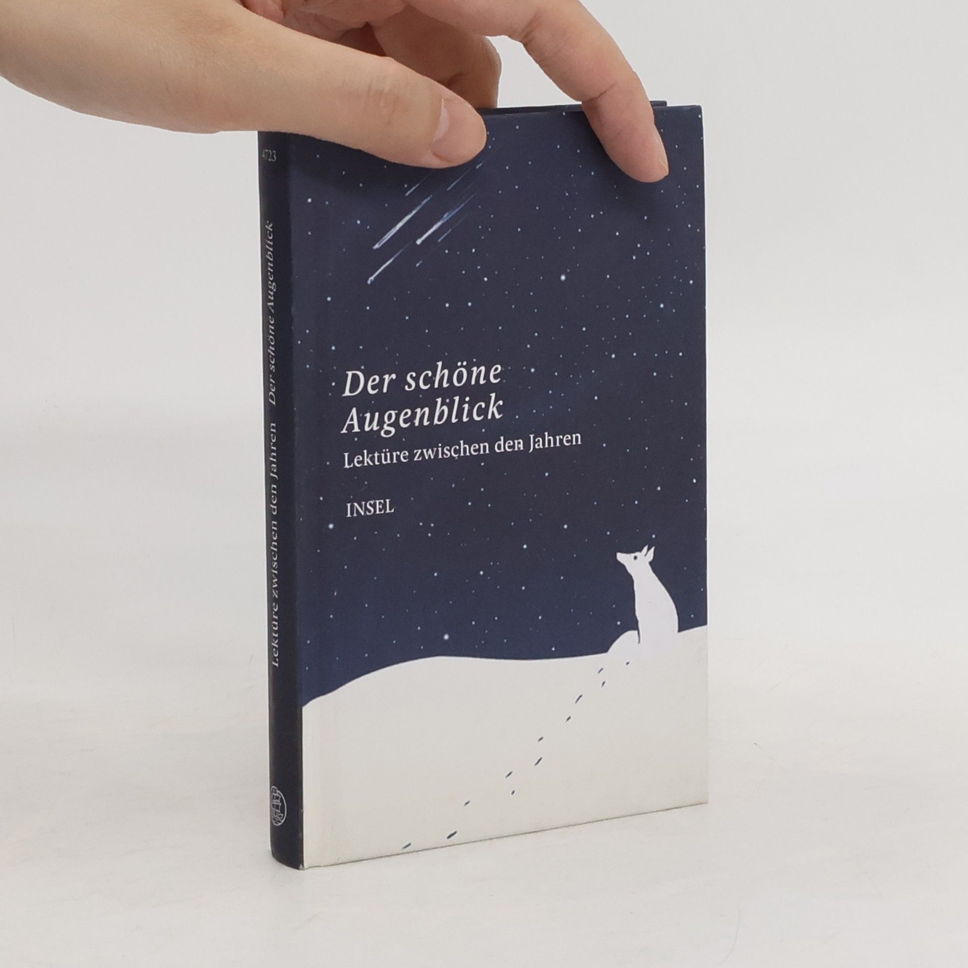 Clara Paul Der schöne Augenblick