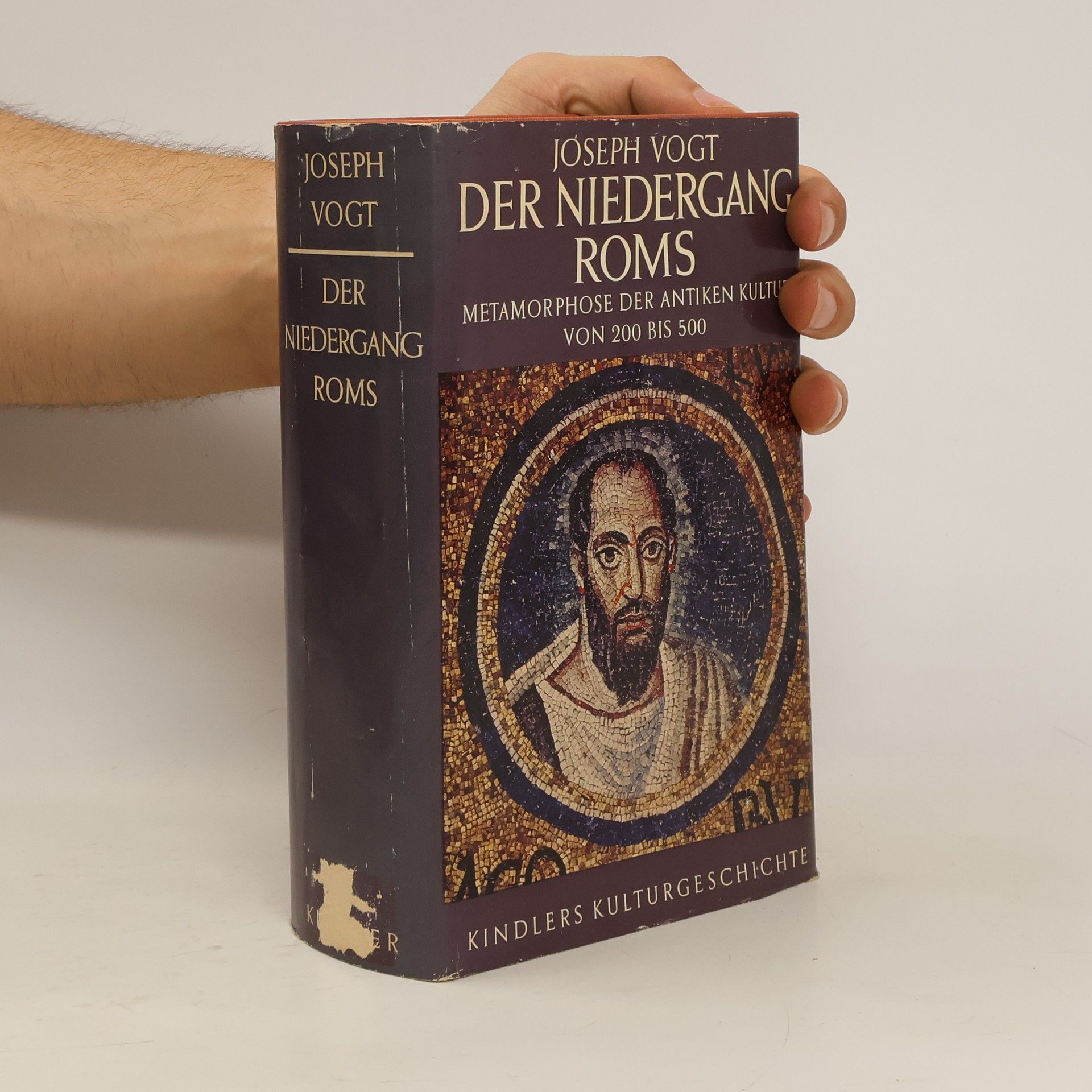 Joseph Vogt Der Niedergang Roms