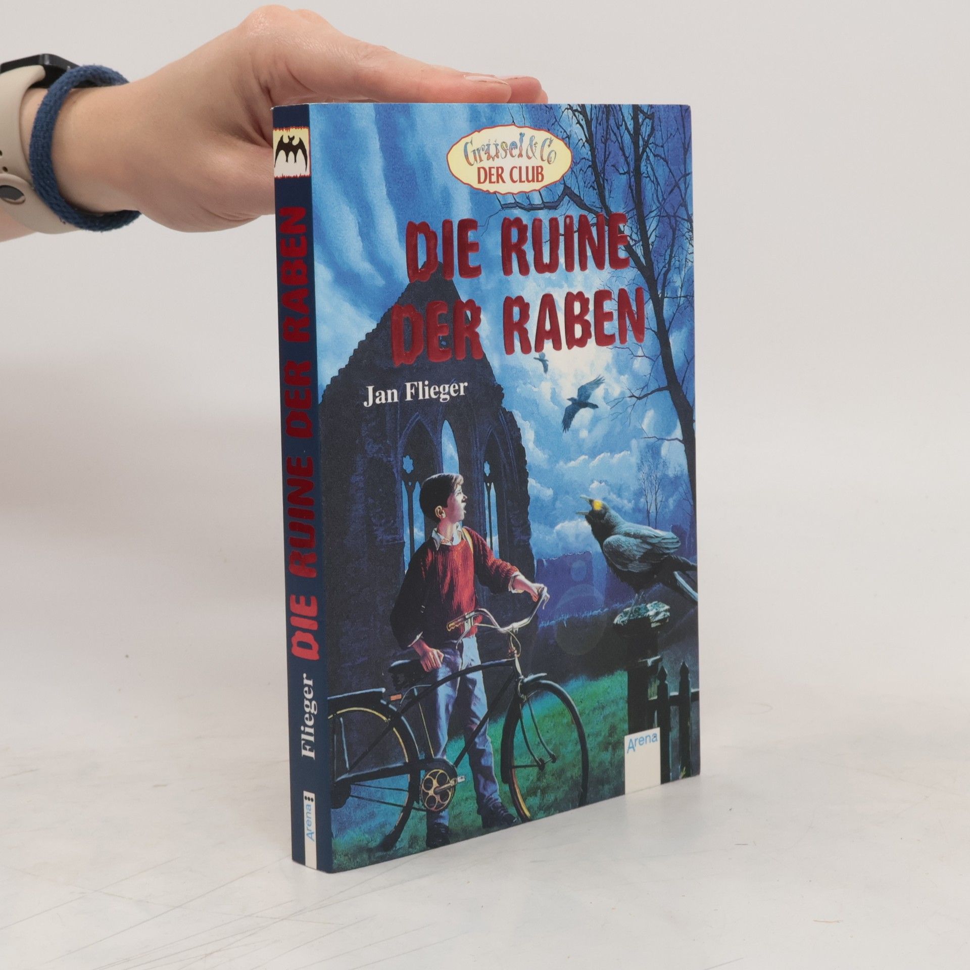 Jan Flieger Die Ruine der Raben