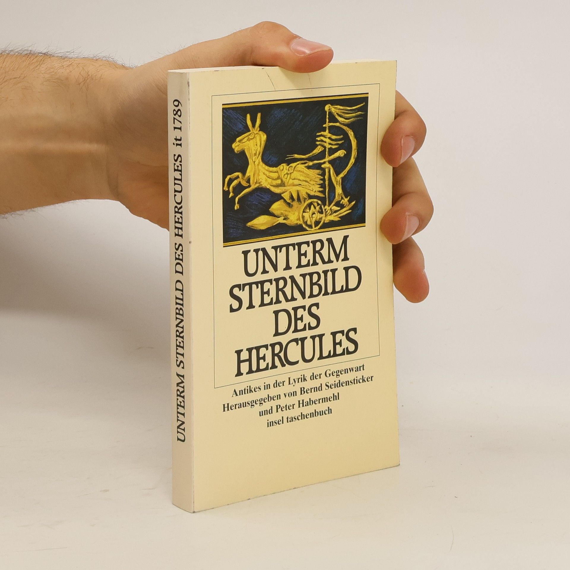 Bernd Seidensticker Unterm Sternbild des Hercules