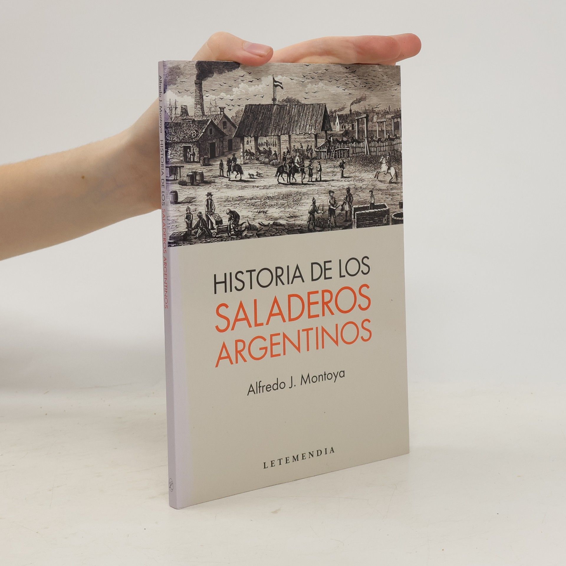 Alfredo Juan Montoya Historia de los saladeros argentinos
