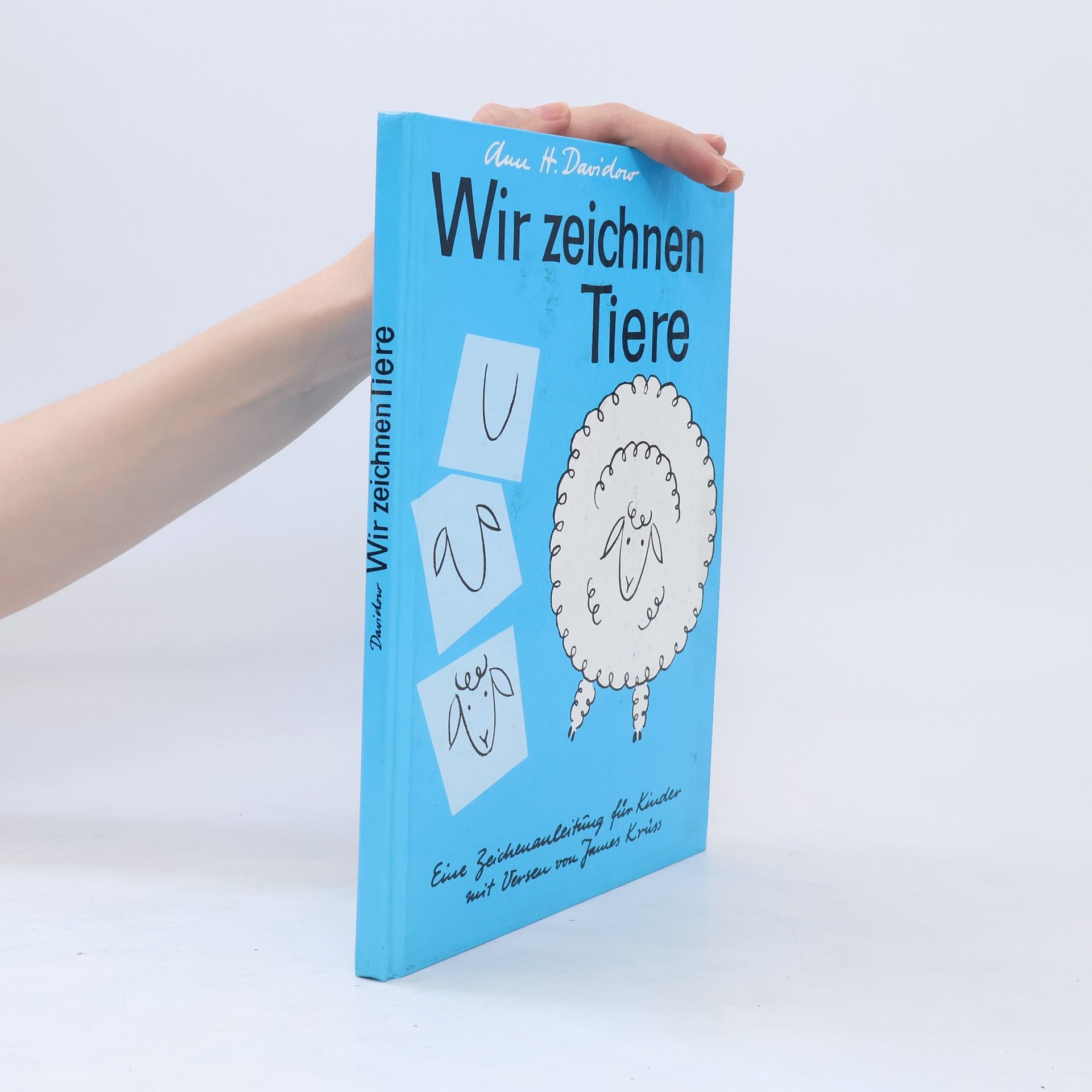 Ann Davidow Wir zeichnen Tiere