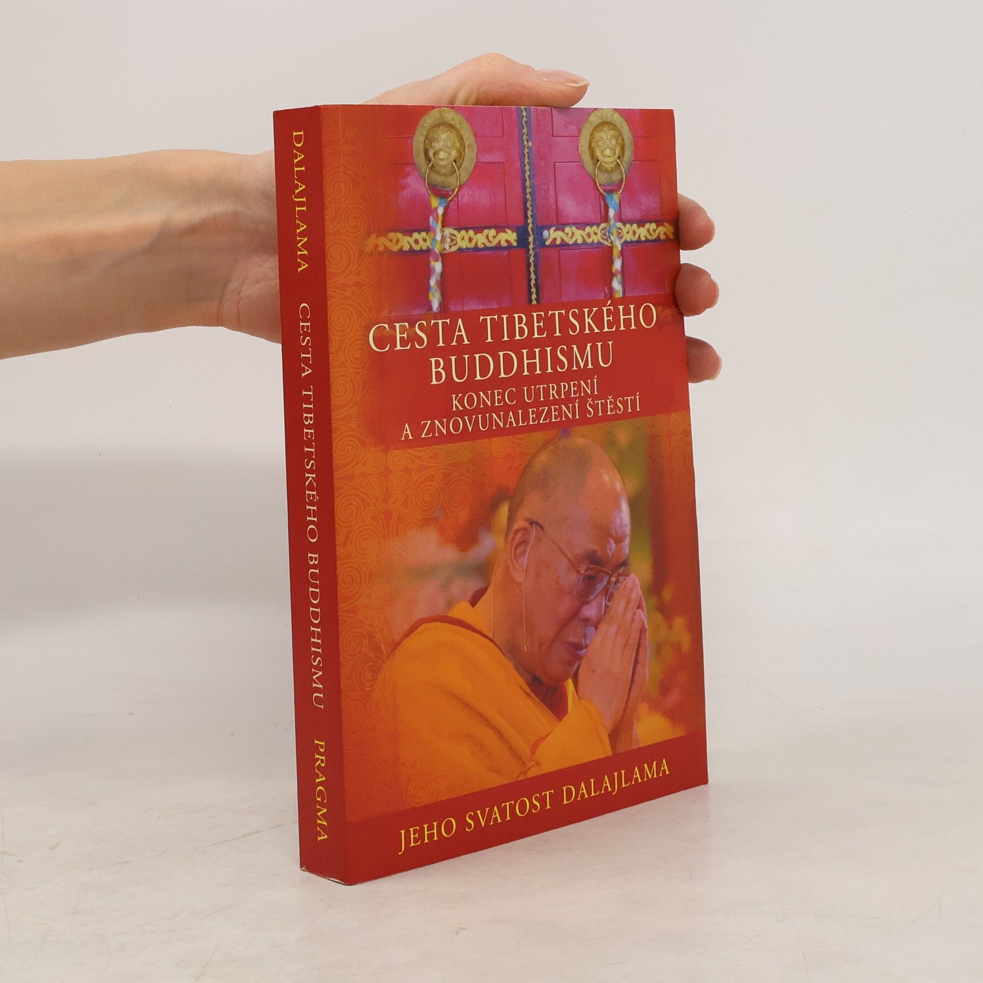 Dalajlama Cesta tibetského buddhismu: Konec utrpení a znovunalezení štěstí