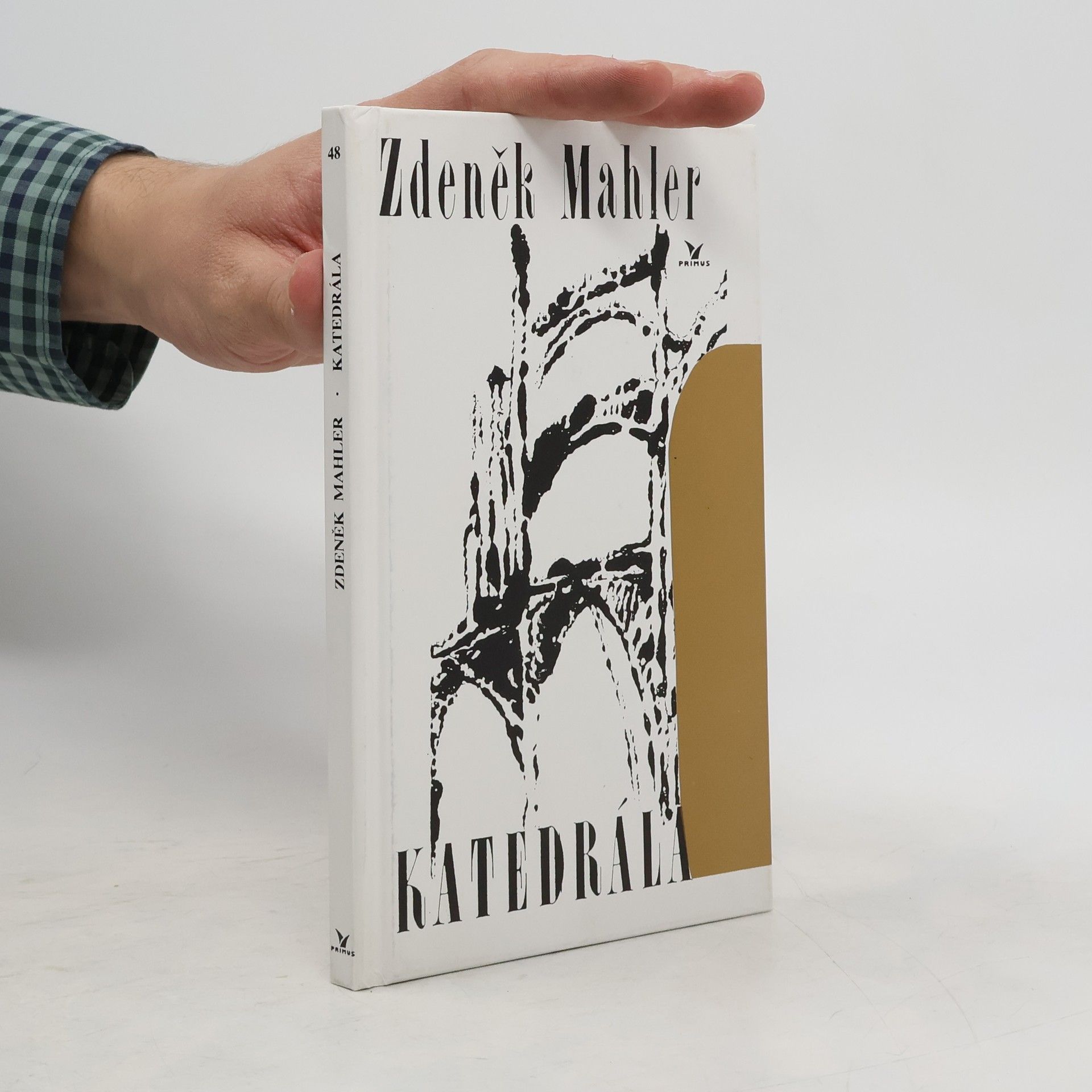 Zdeněk Mahler Katedrála