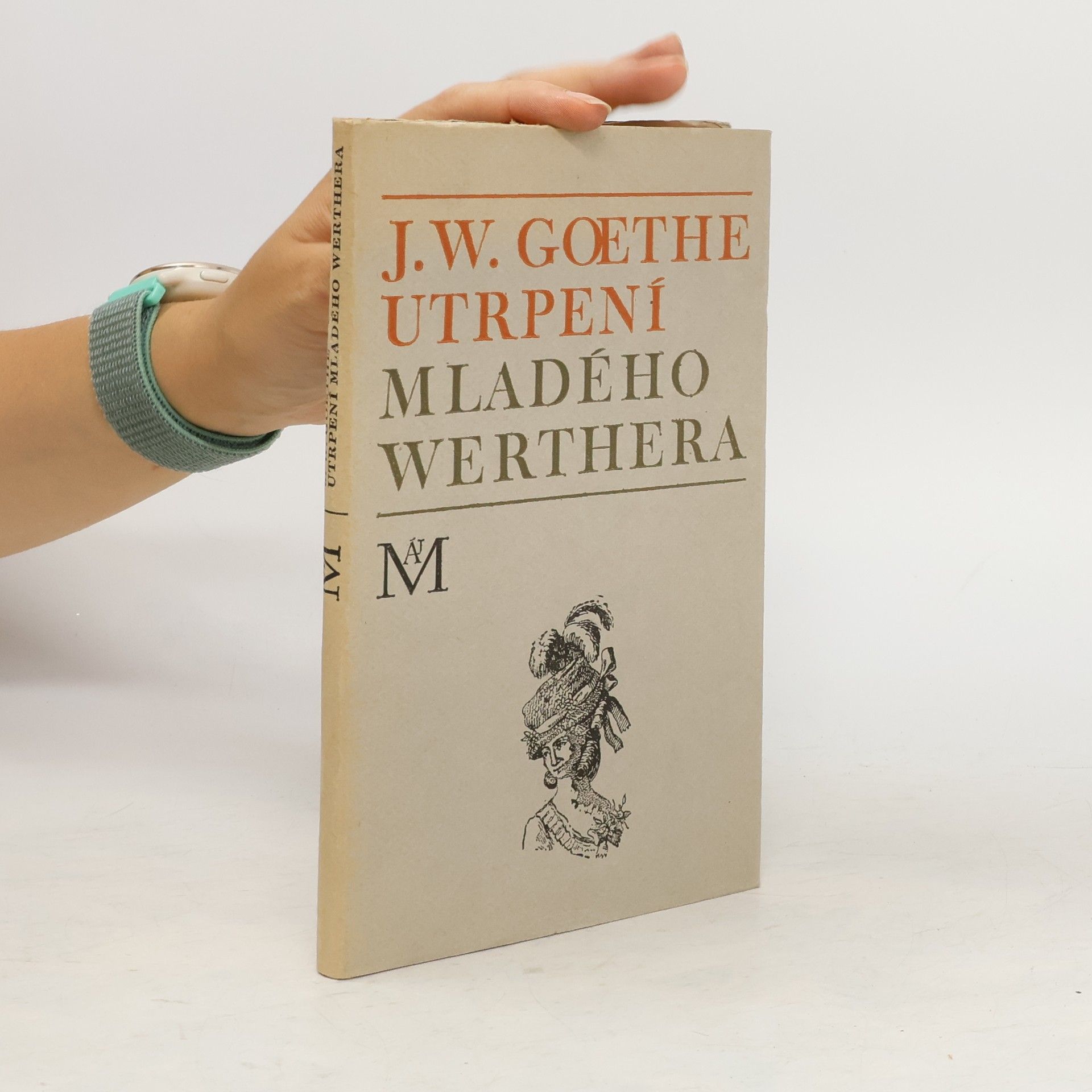 Johann Wolfgang von Goethe Utrpení mladého Werthera