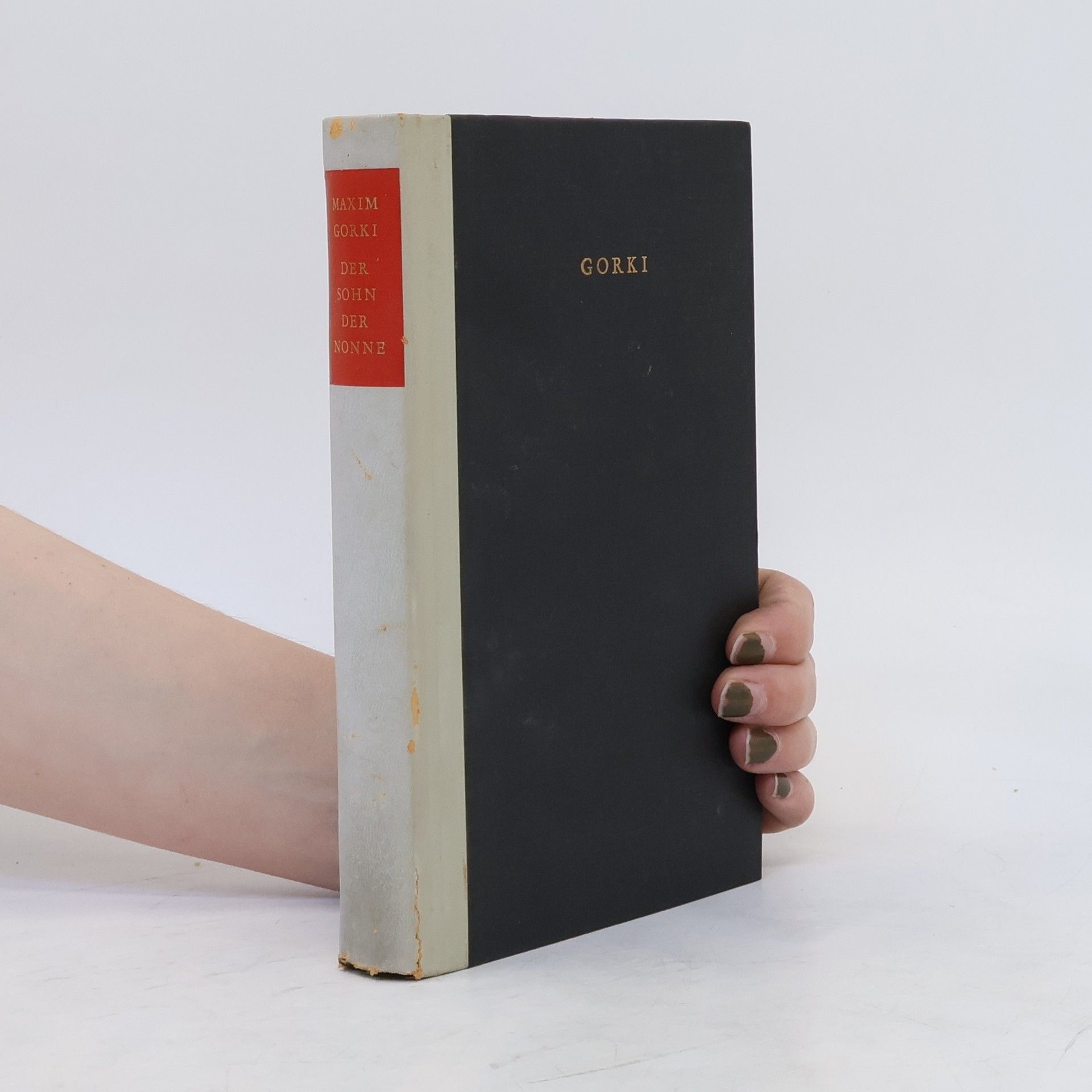 Maxim Gorkij Der Sohn der Nonne