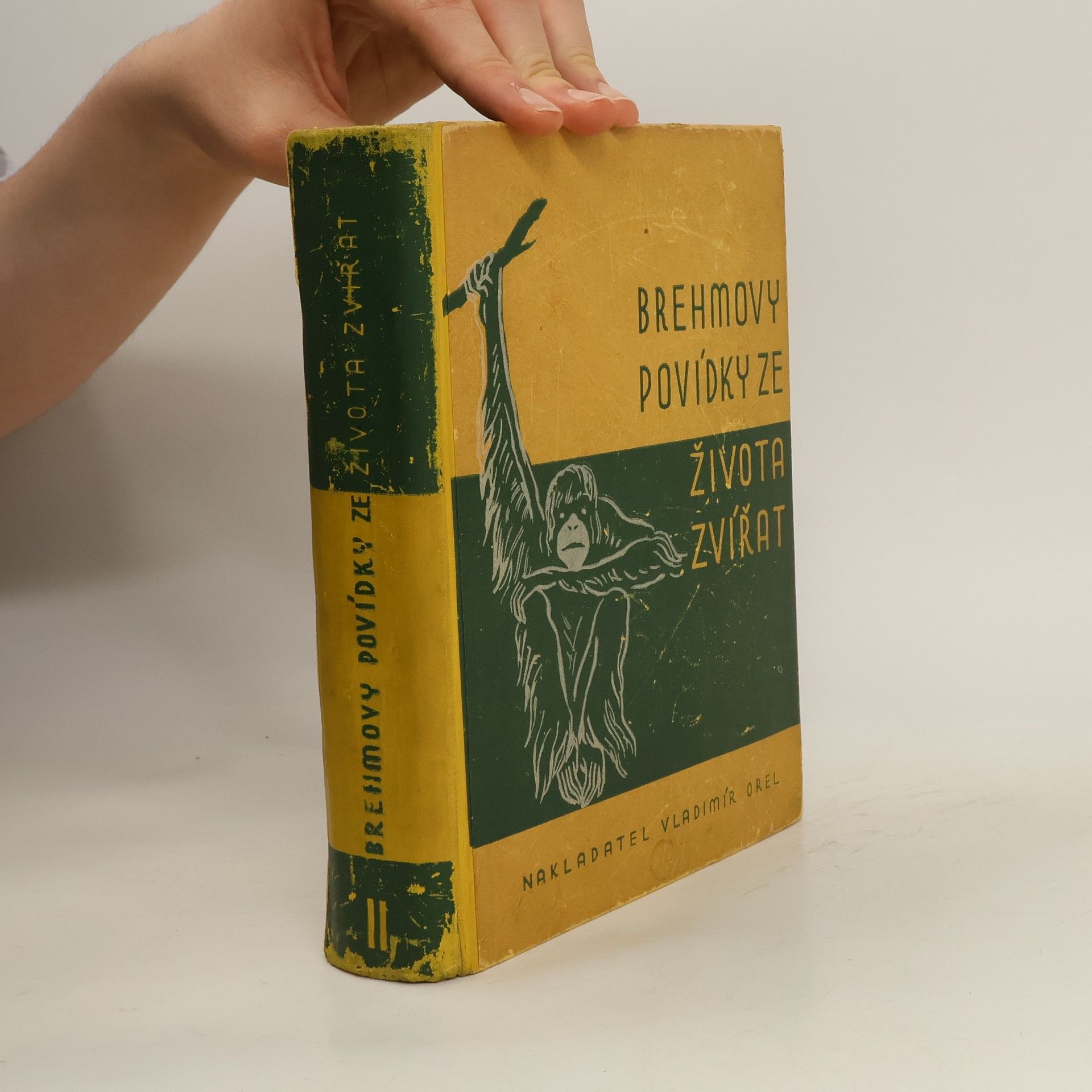Alfred Edmund Brehm Brehmovy povídky ze života zvířat II.