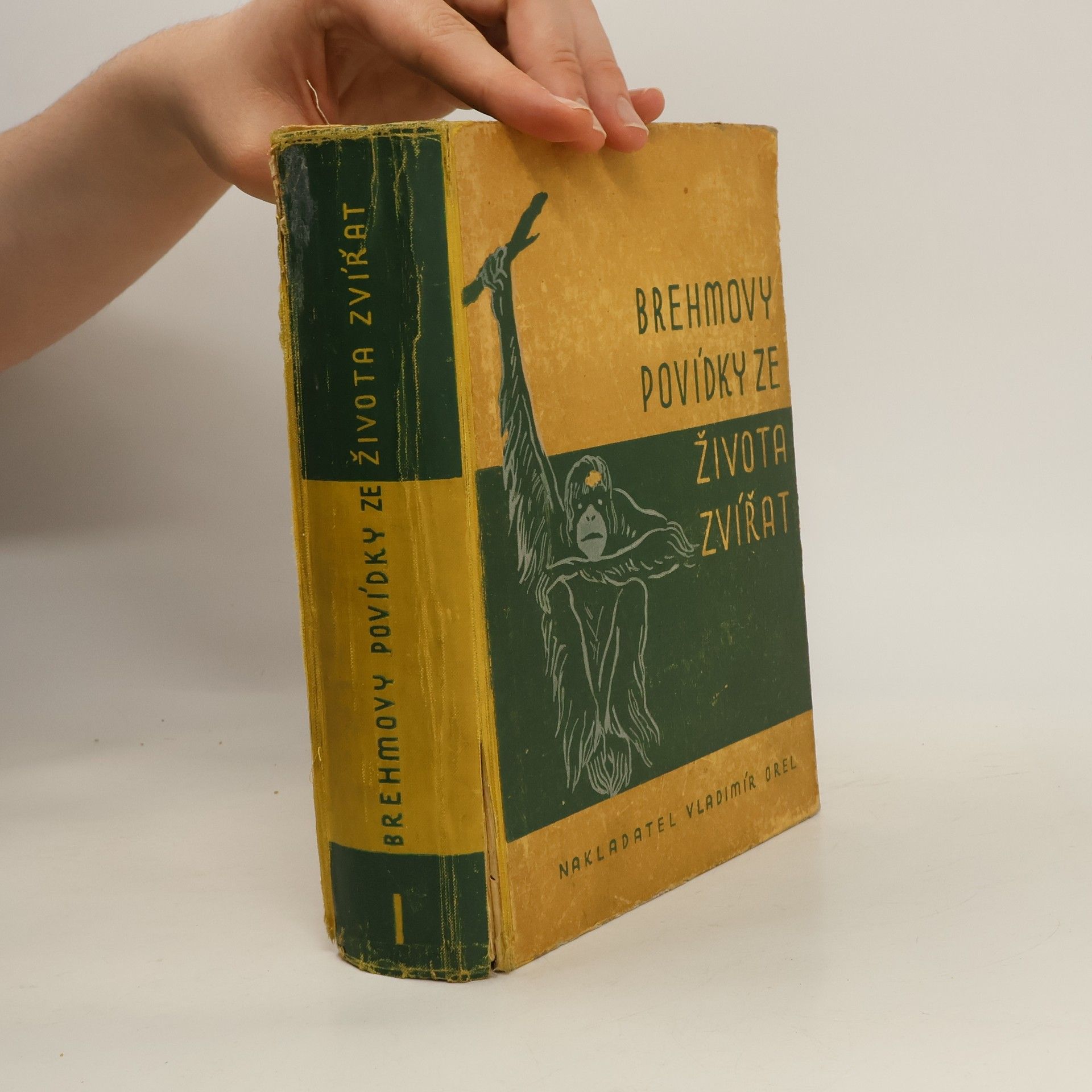 Alfred Edmund Brehm Brehmovy povídky ze života zvířat I.
