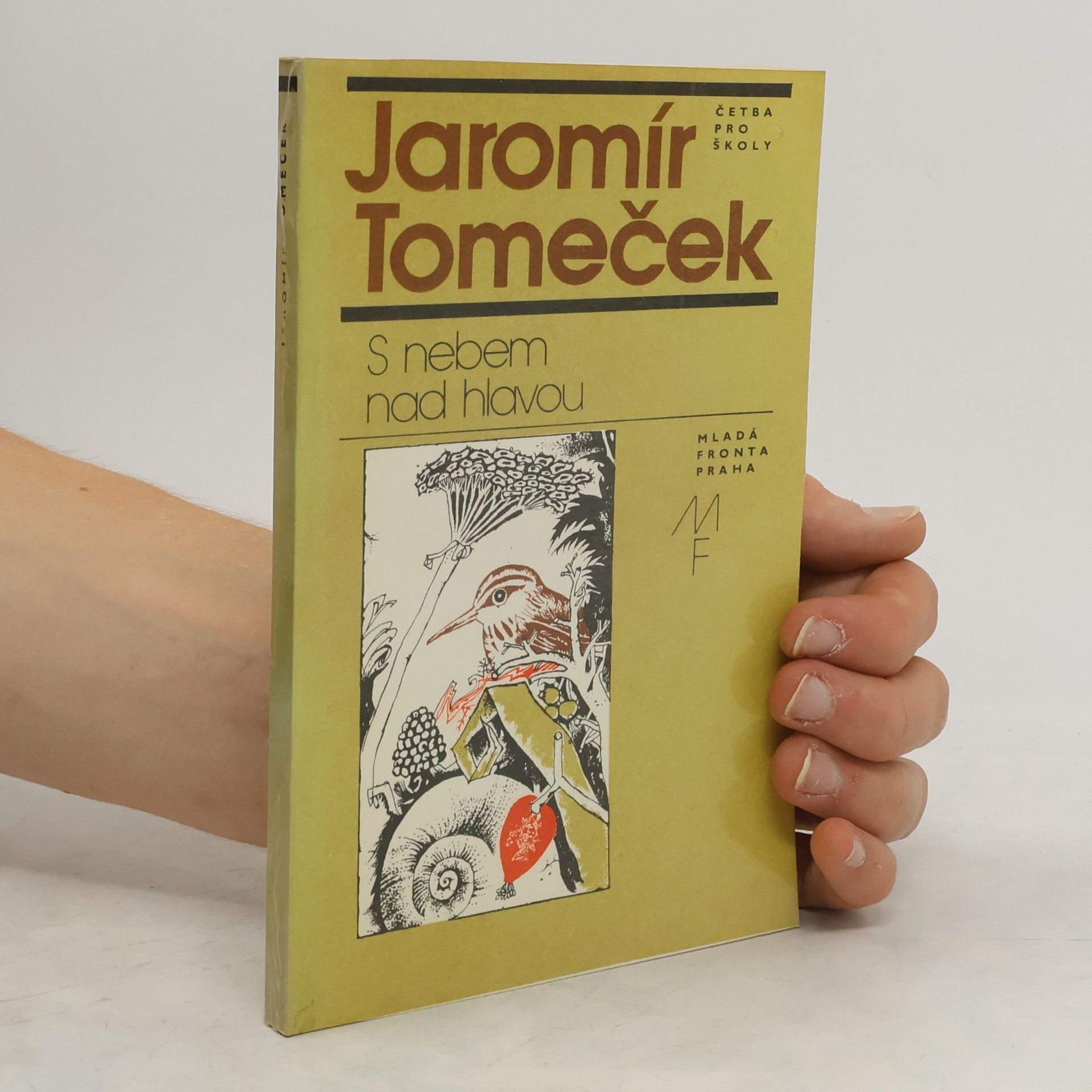 Jaromír Tomeček S nebem nad hlavou
