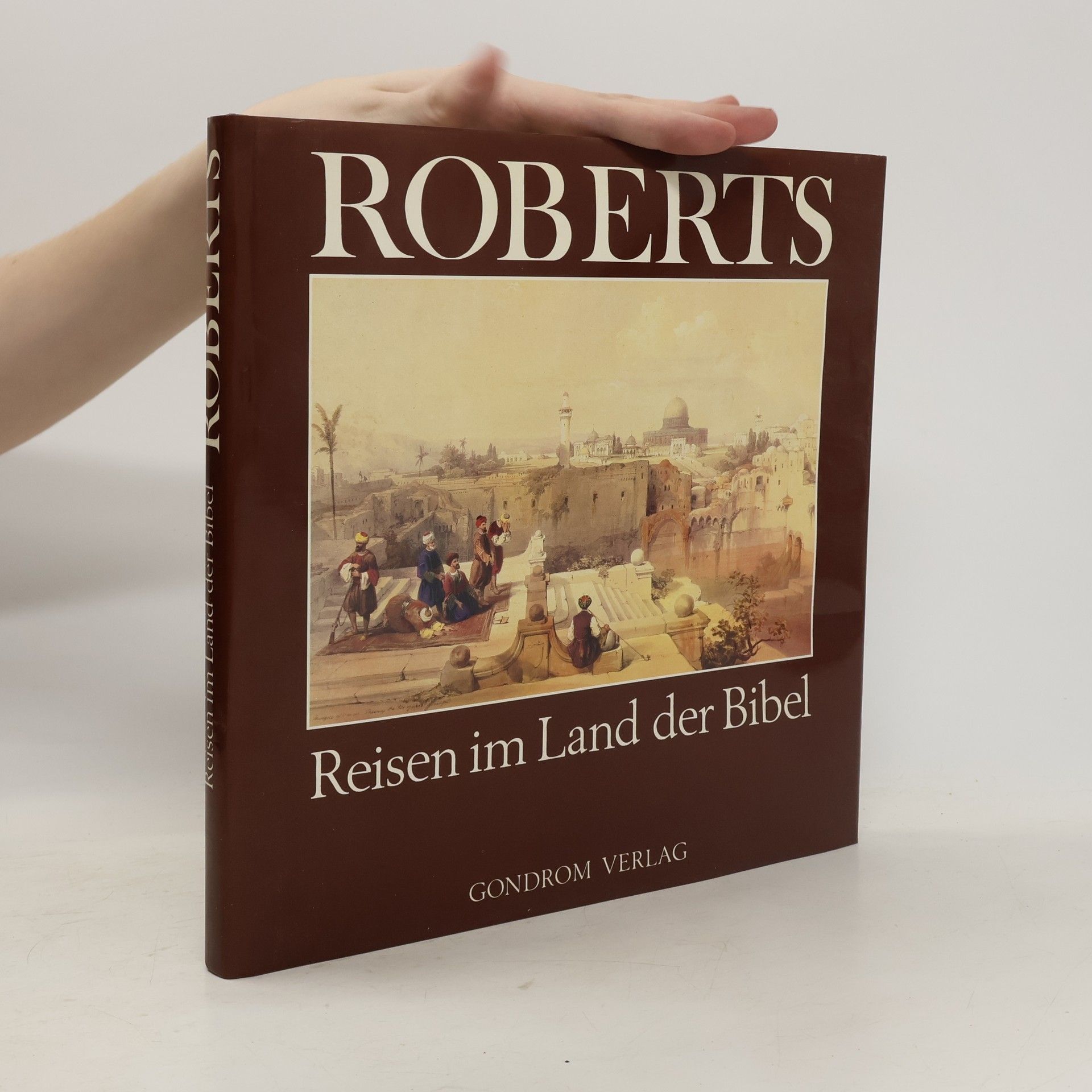 Roberts David Reisen im Land der Bibel