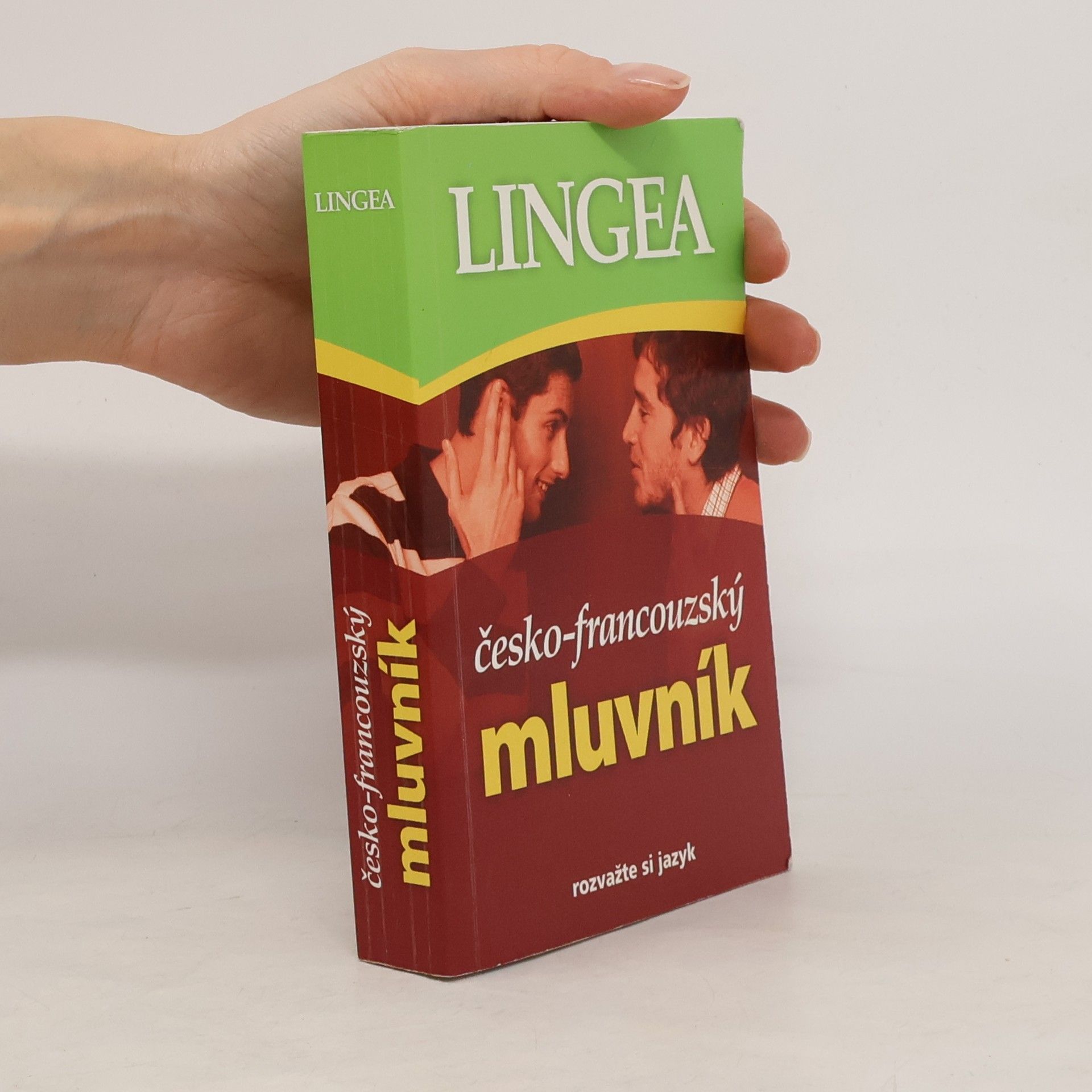 Kolektiv autorů Česko-francouzský mluvník