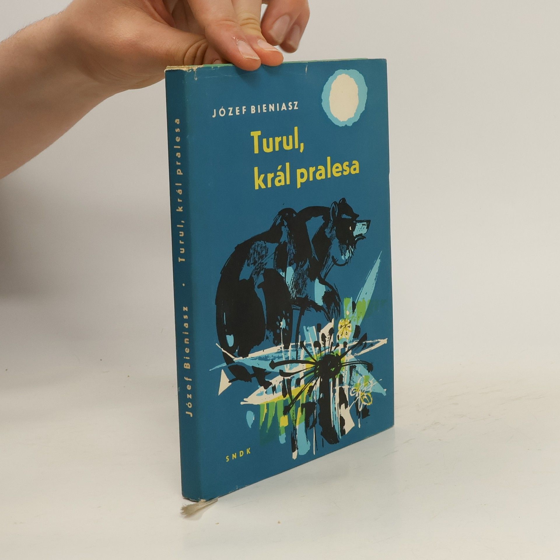 Józef Bieniasz Turul, král pralesa