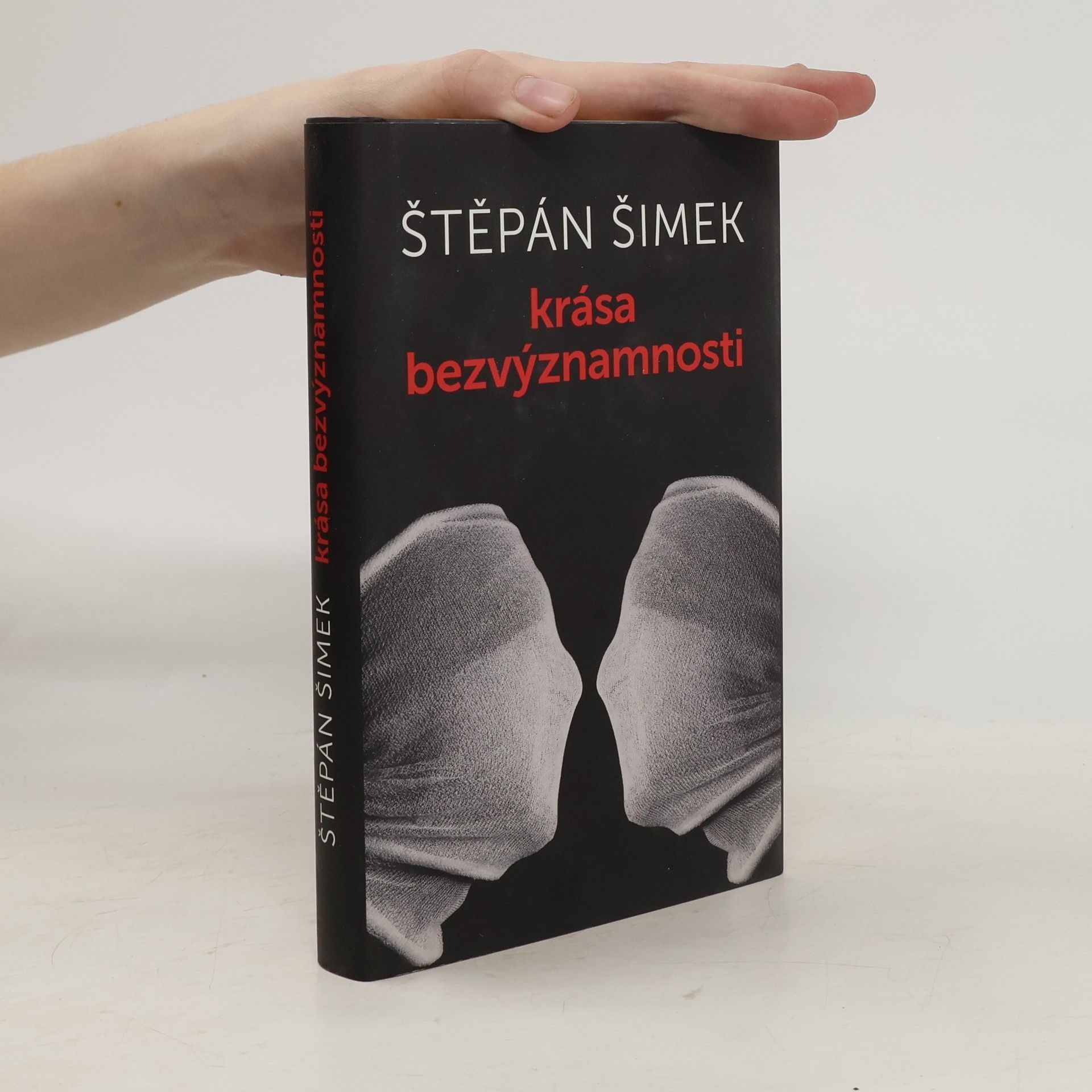 Štěpán Šimek Krása bezvýznamnosti