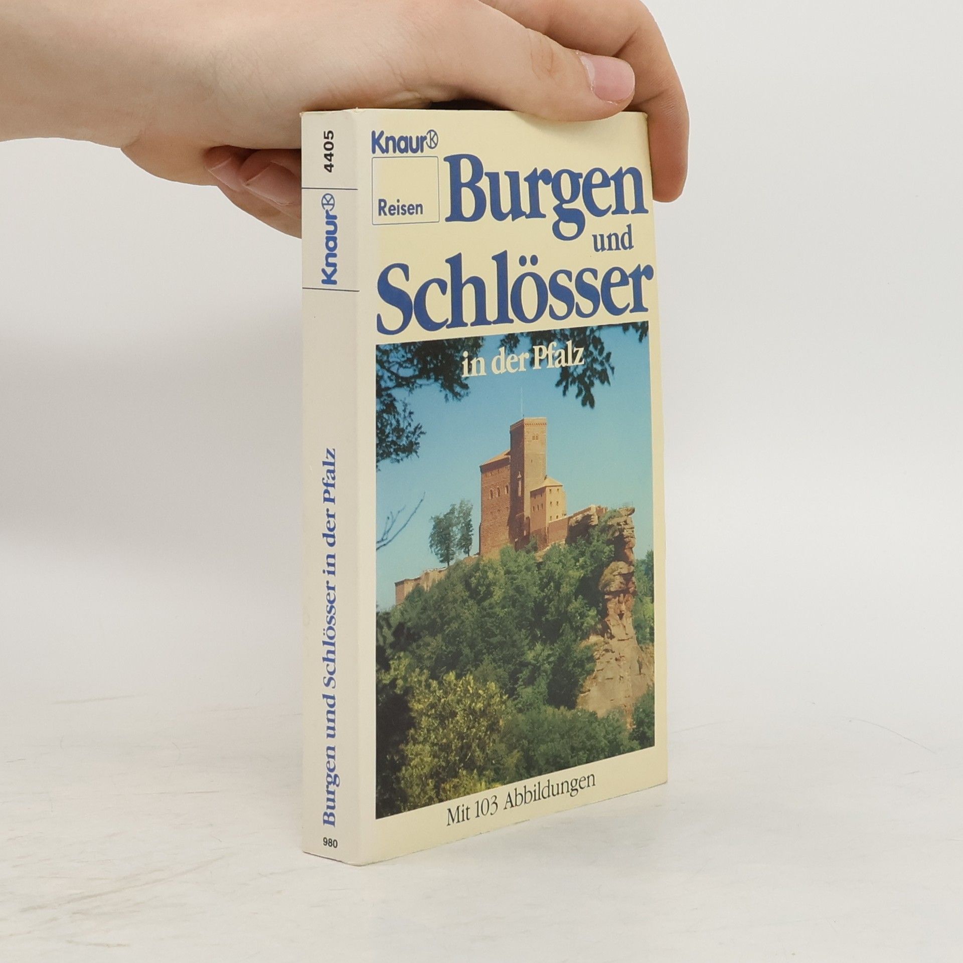 Günter Stein Burgen und Schlösser in der Pfalz