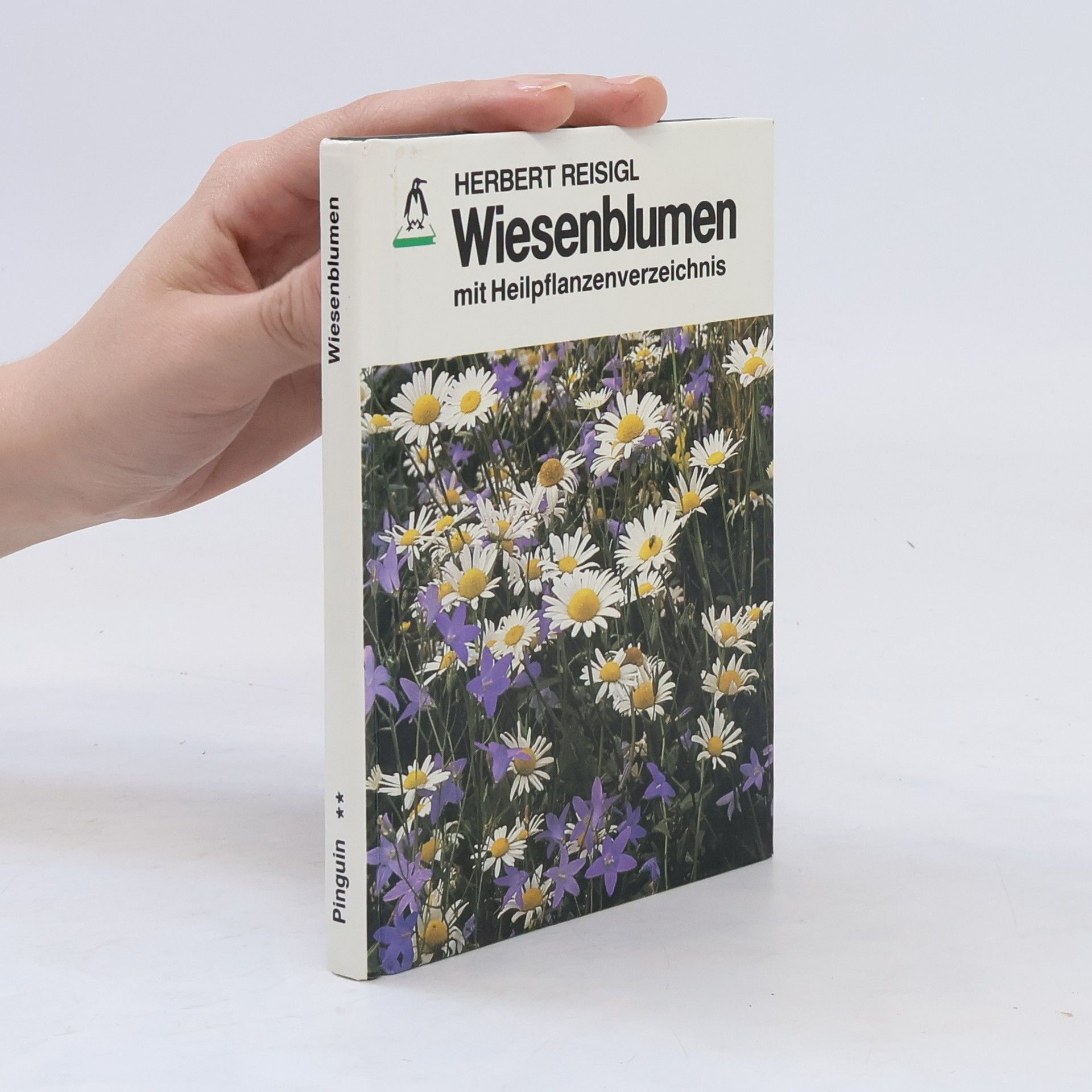 Herbert Reisigl Wiesenblumen