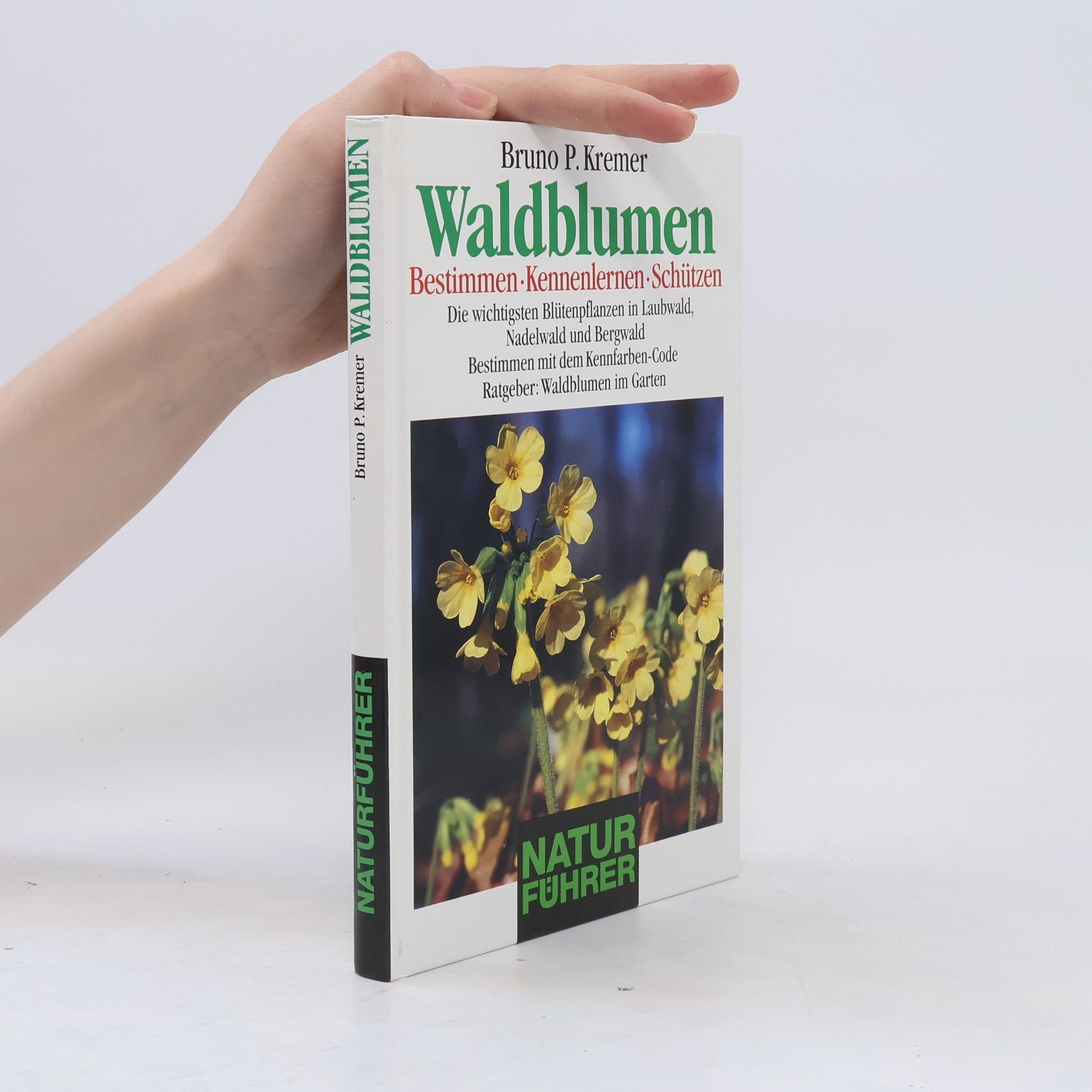 Bruno Kremer Waldblumen