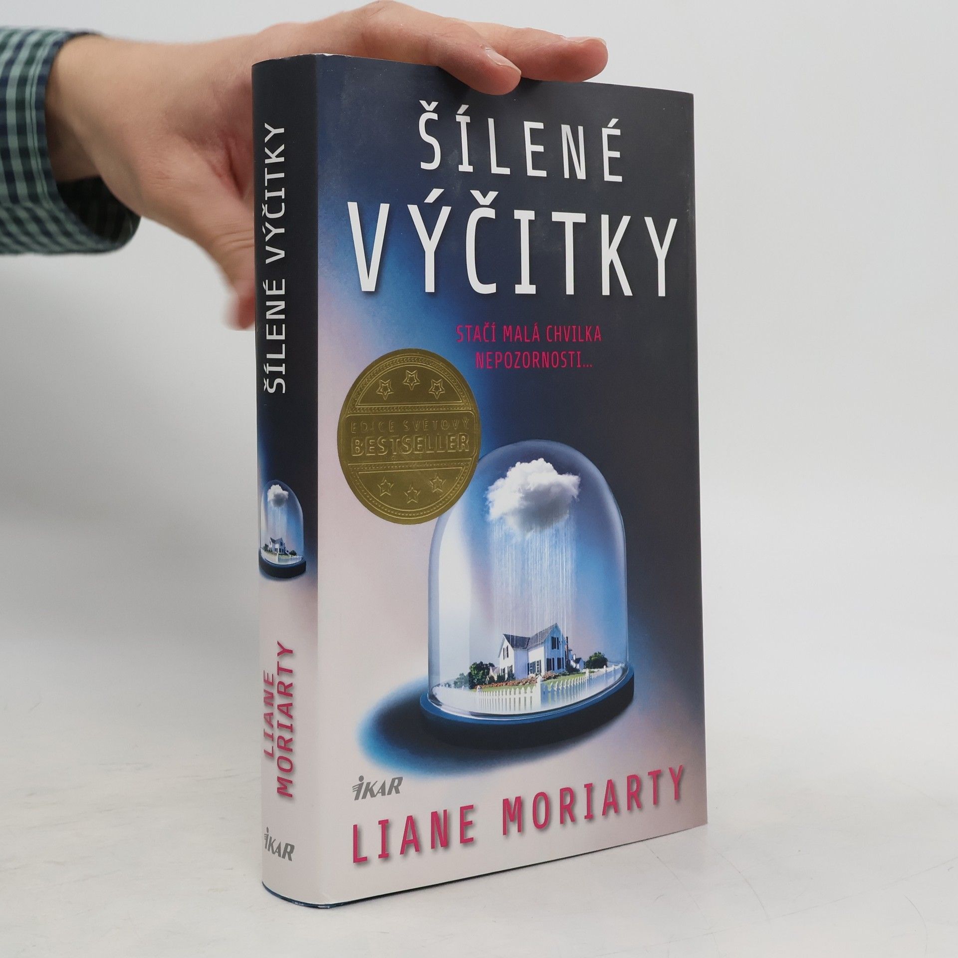 Liane Moriarty Šílené výčitky