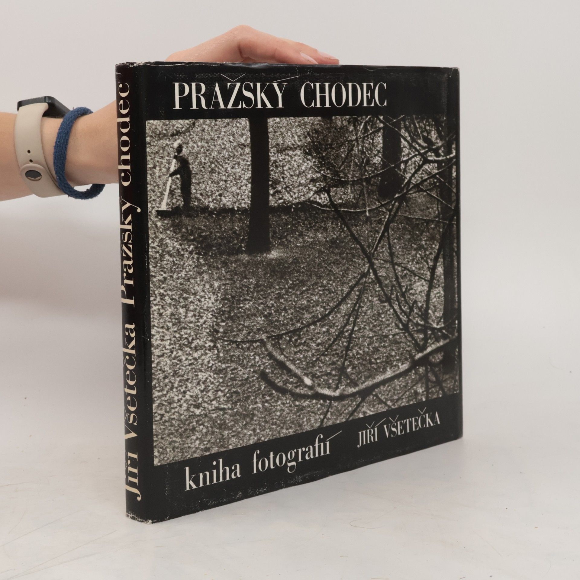Jiří Všetečka Pražský chodec
