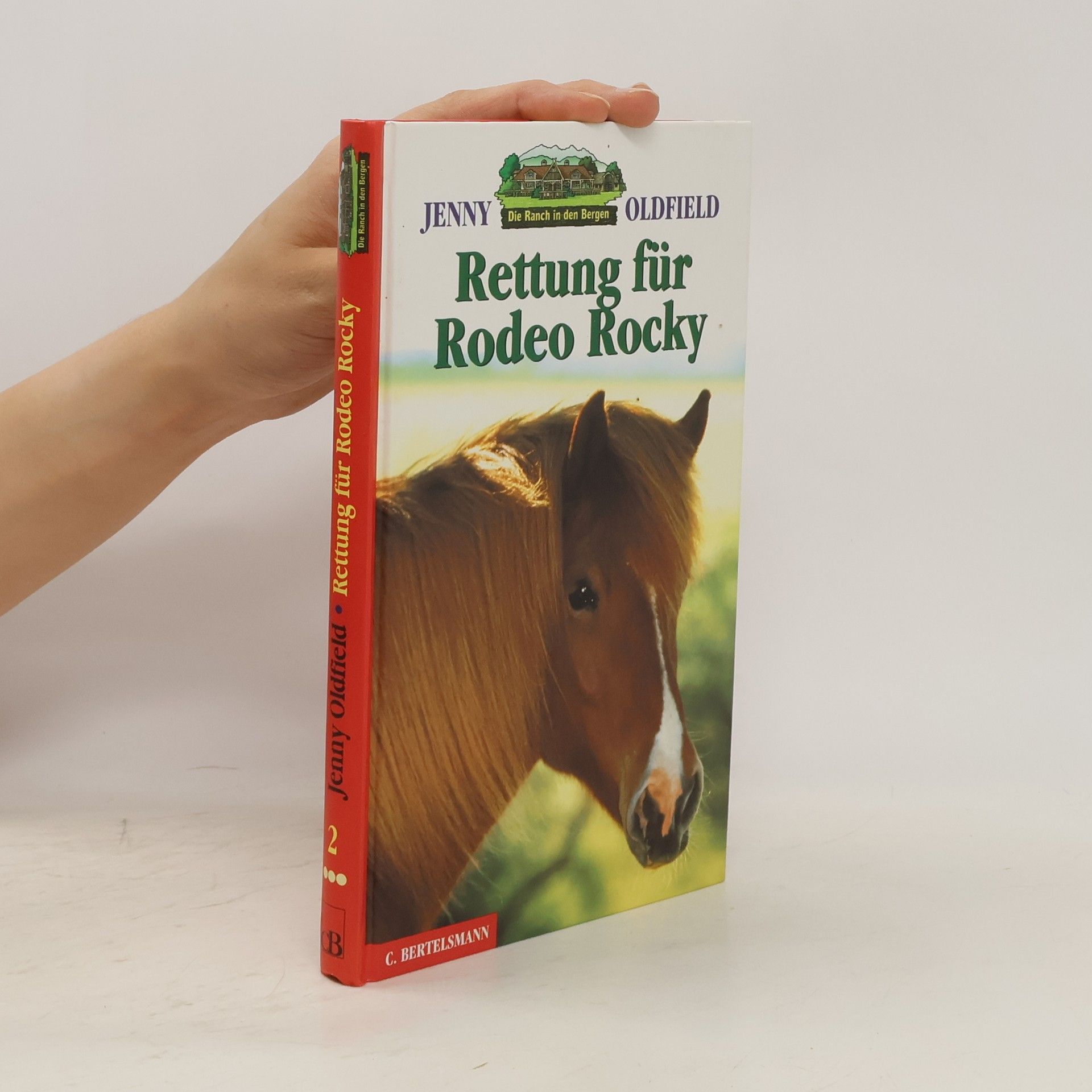 Jenny Oldfield Rettung für Rodeo Rocky. Aus d. Engl. v. Birgit van der Avoort