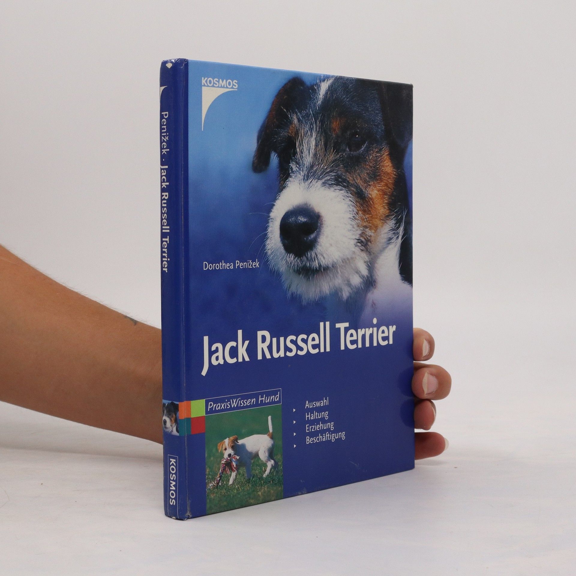Dorothea Penizek Jack-Russell-Terrier