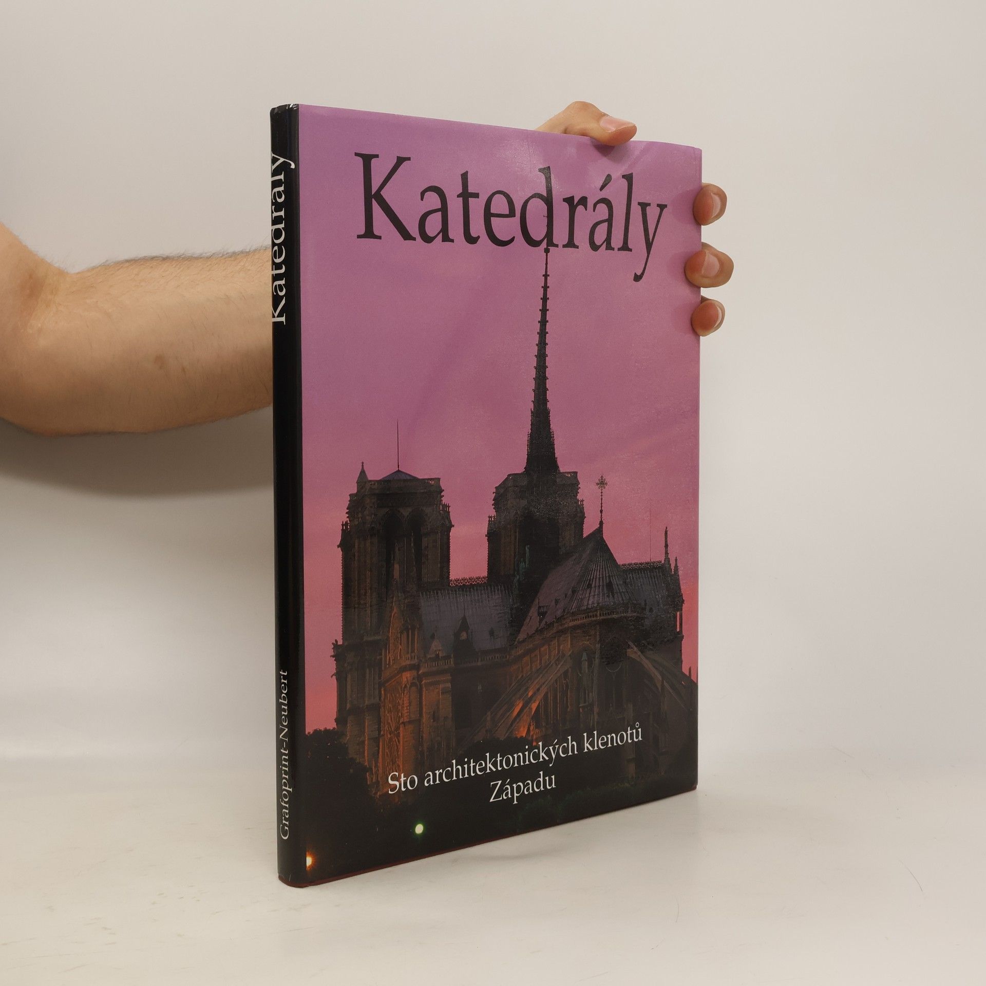 Charlotte Behringer Katedrály. Sto architektonických klenotů Západu