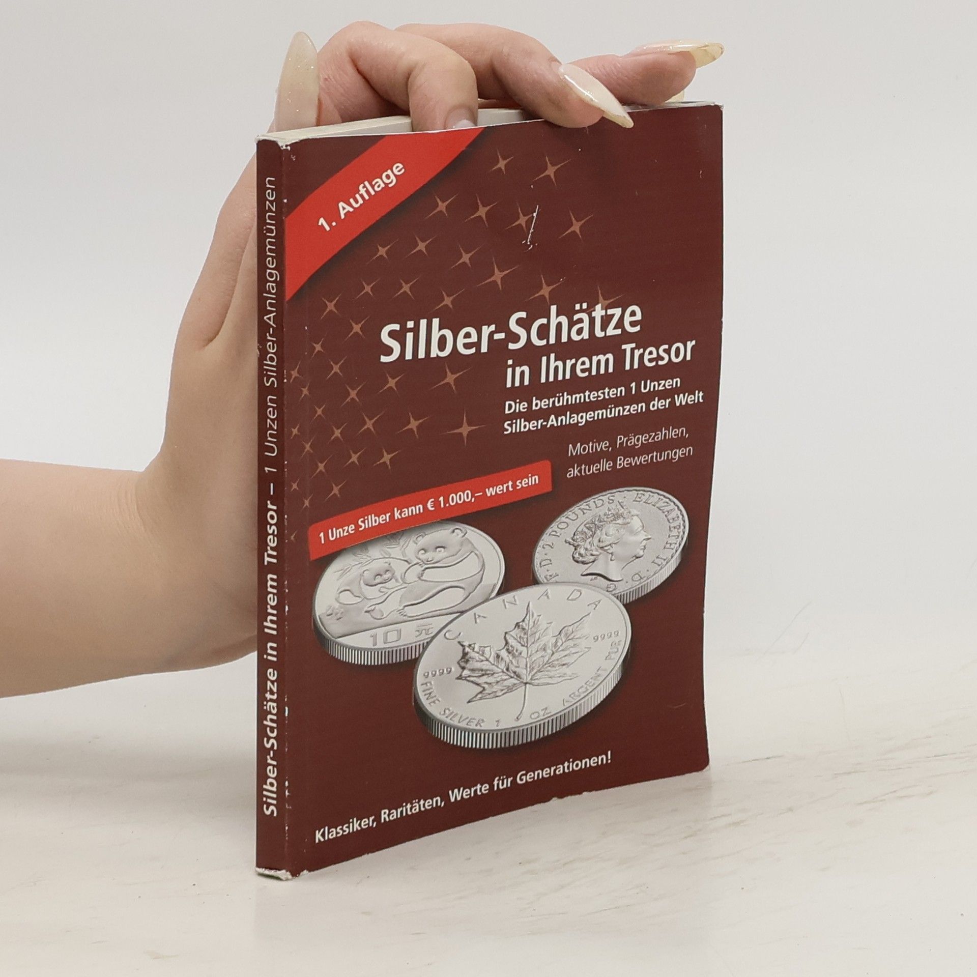Autorenkollektiv Silber - Schätze in Ihrem Tresor