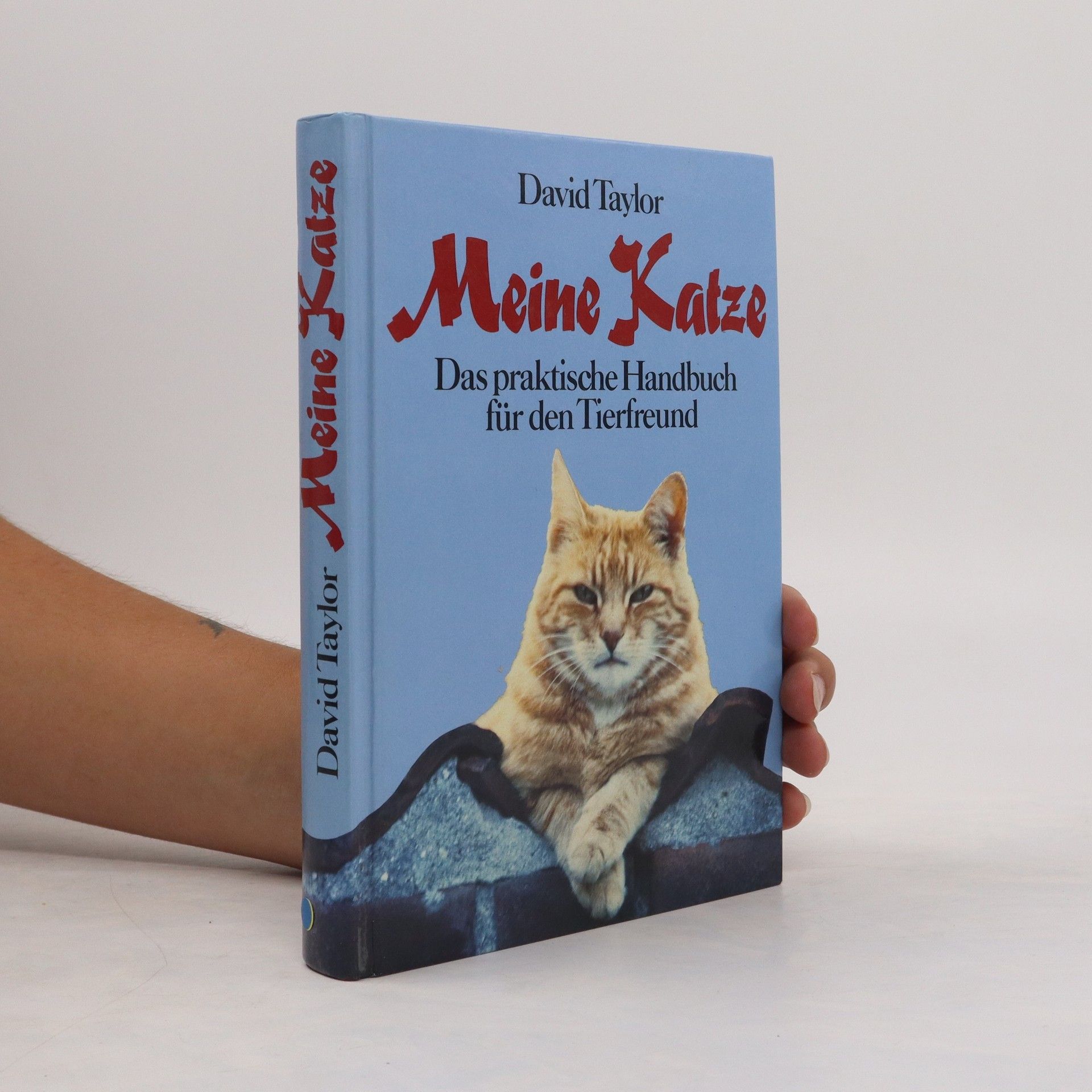 David Conrad Taylor Meine Katze