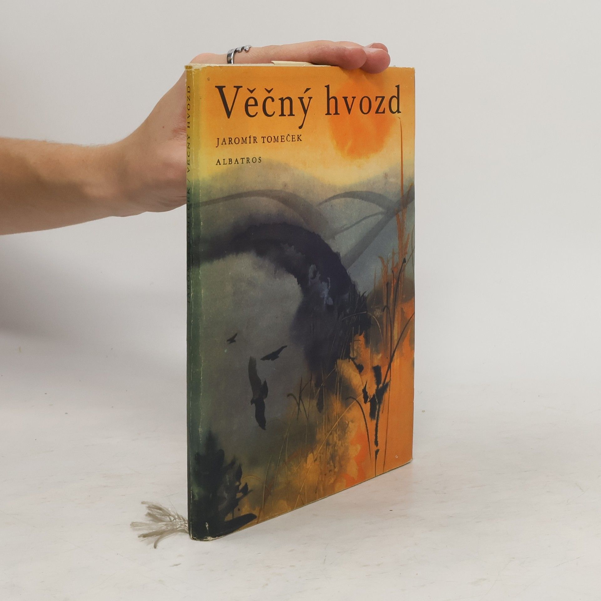 Jaromír Tomeček Věčný hvozd