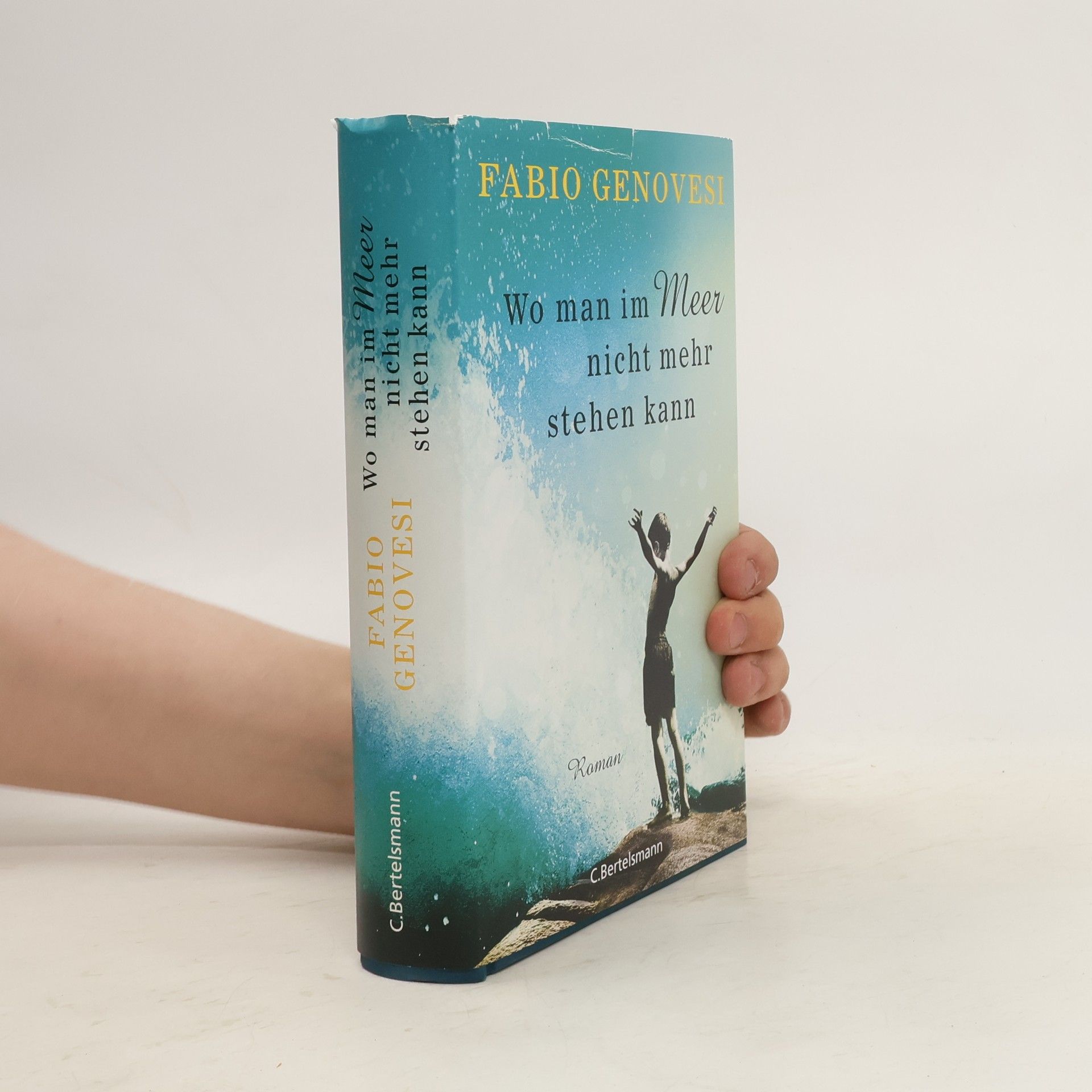 Fabio Genovesi Wo man im Meer nicht mehr stehen kann