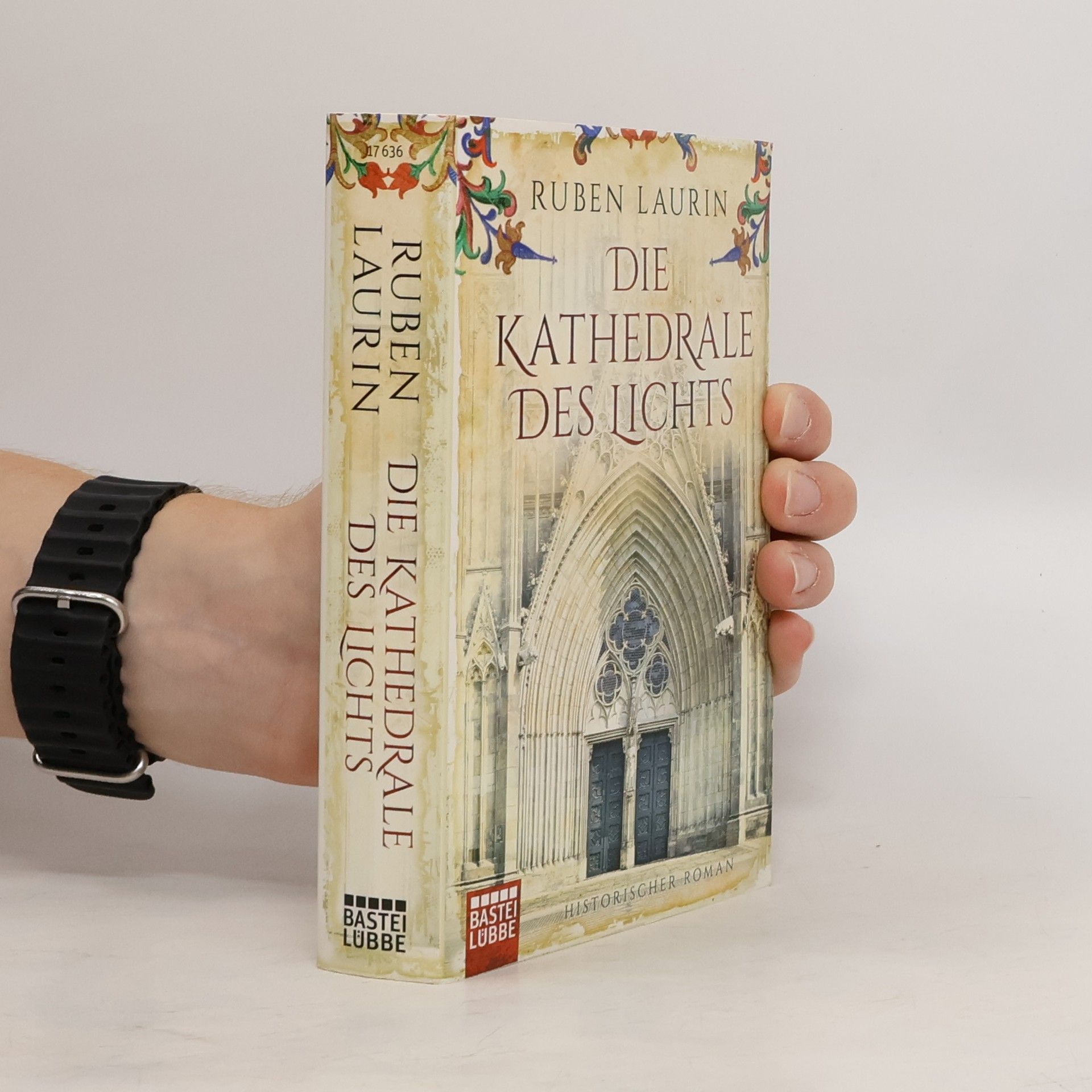 Ruben Laurin Die Kathedrale des Lichts