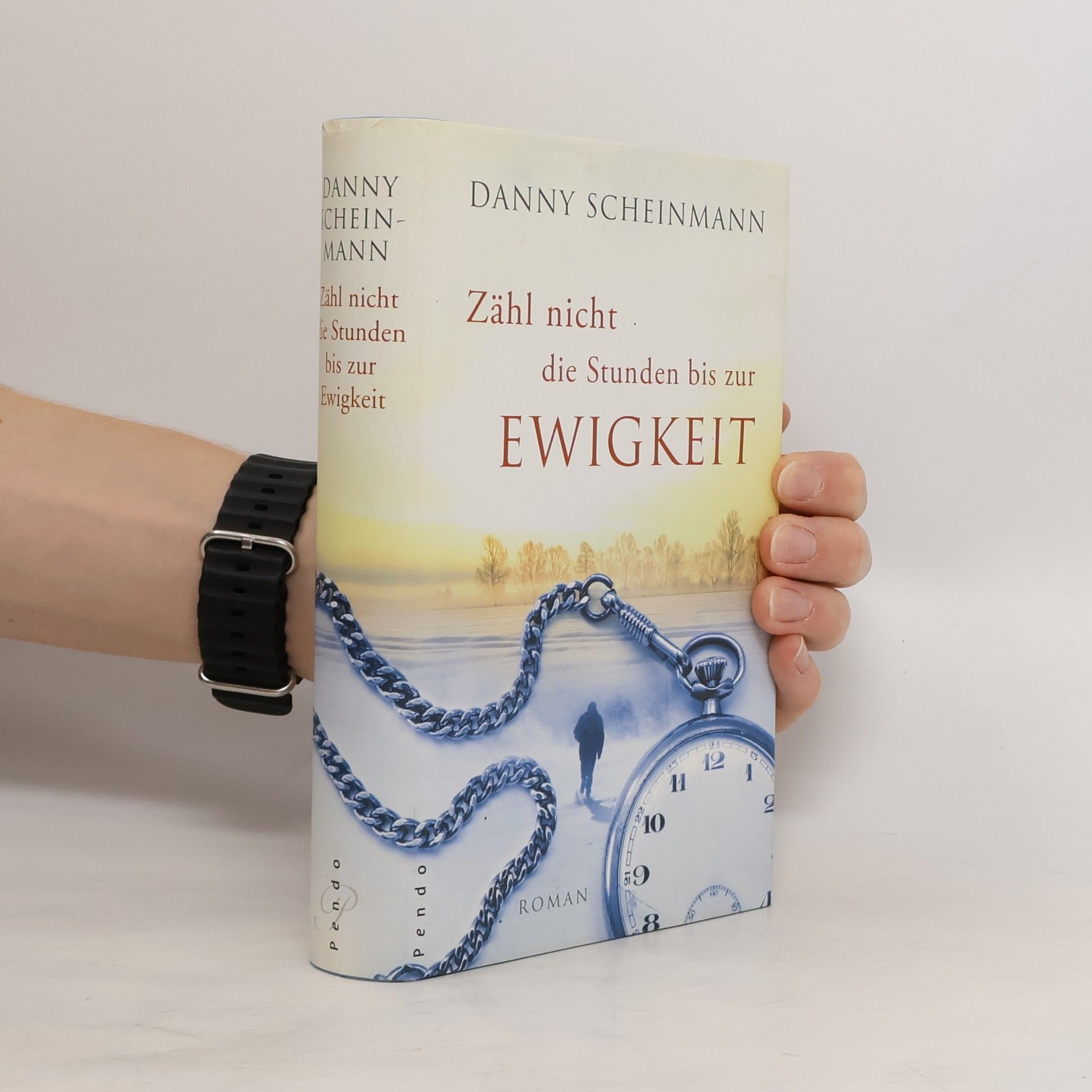 Danny Scheinmann Zähl nicht die Stunden bis zur Ewigkeit