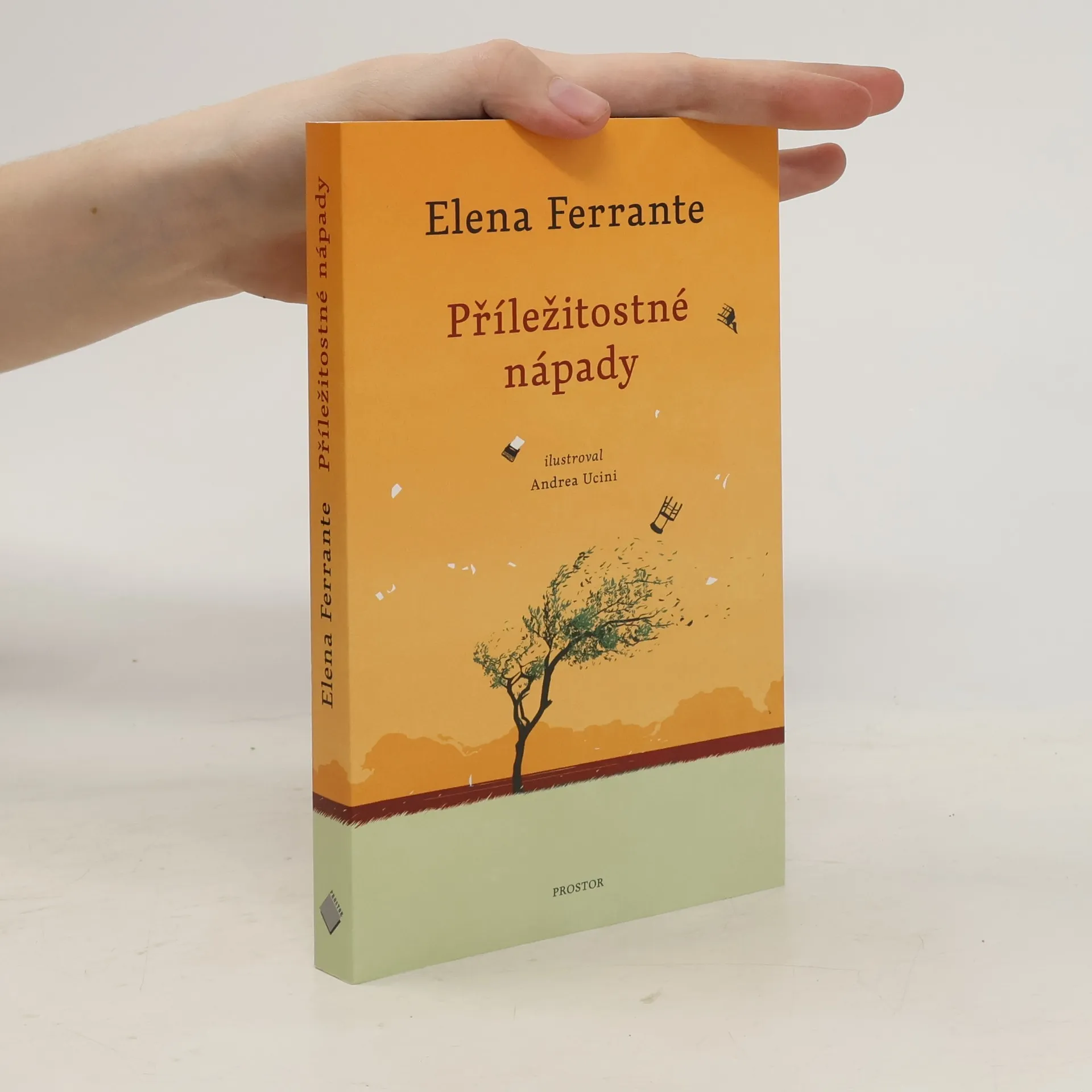 Příležitostné nápady | Kniha | mäkká | Elena Ferrante | CS