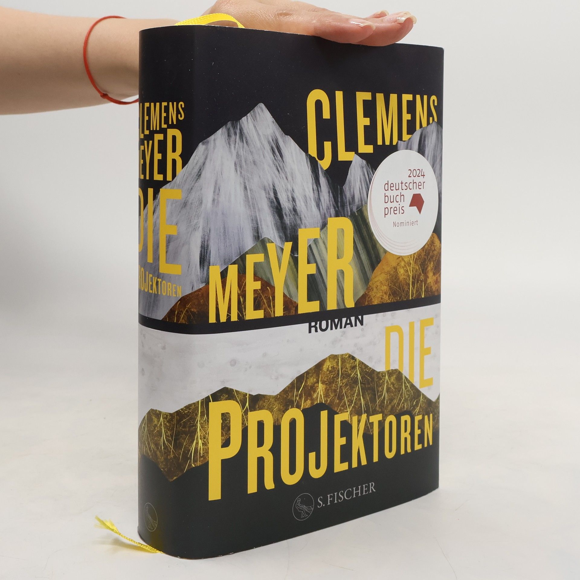 Clemens Meyer Die Projektoren