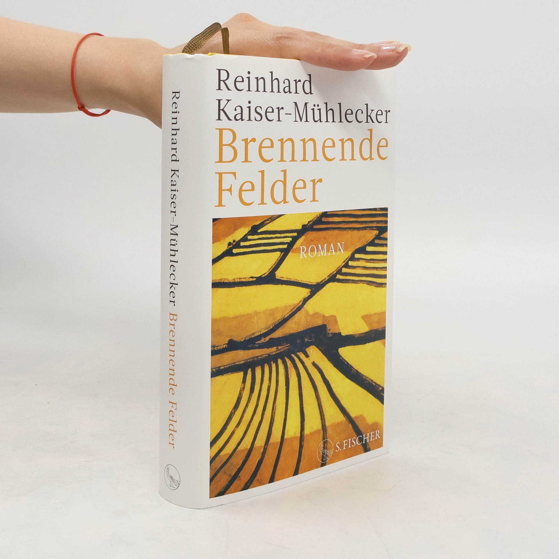 Reinhard Kaiser Brennende Felder