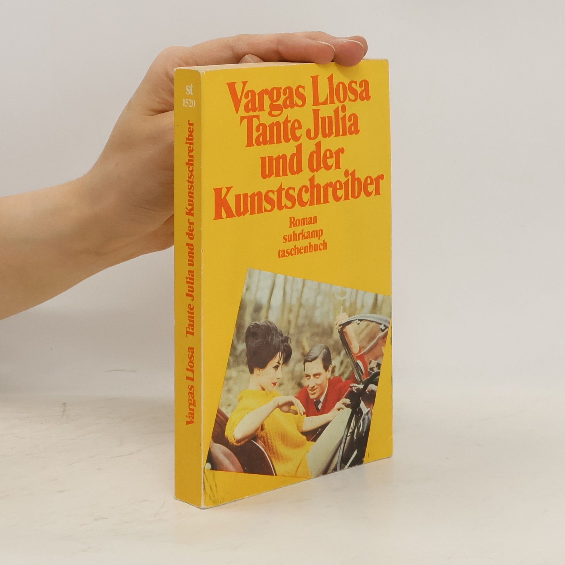 Mario Vargas Llosa Tante Julia und der Kunstschreiber