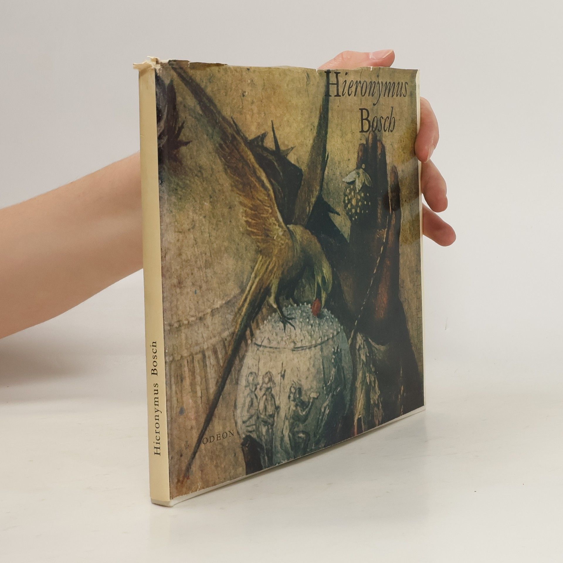Hana Volavková Hieronymus Bosch