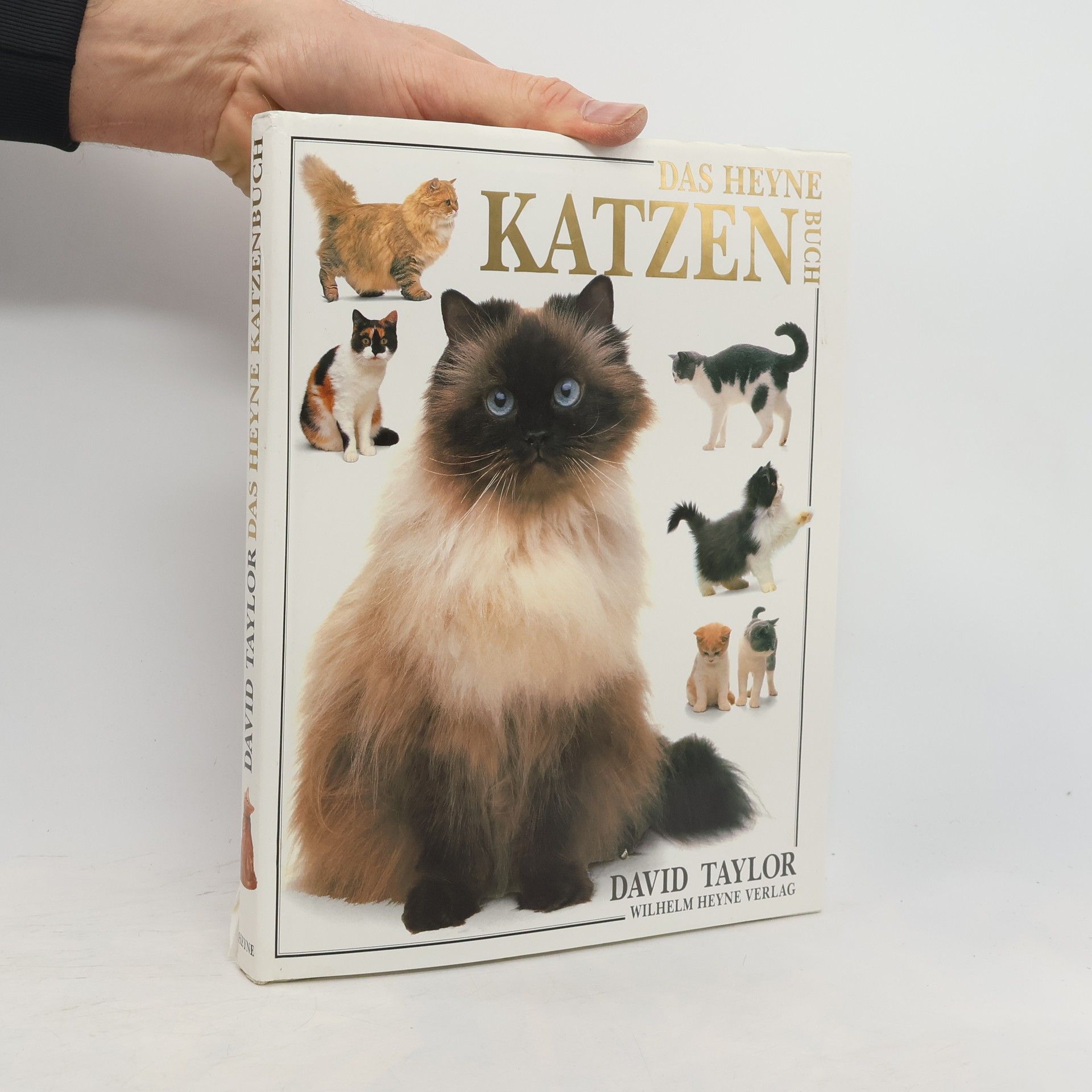 David Conrad Taylor Das Heyne-Katzen-Buch