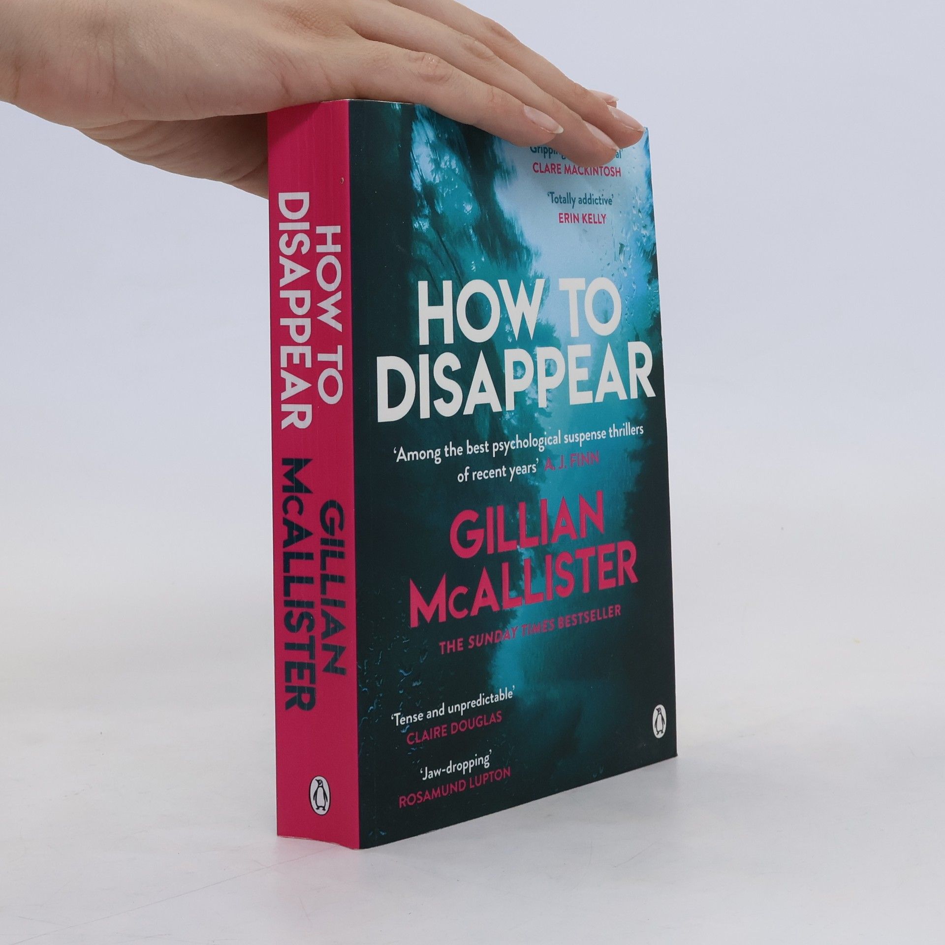 Gillian McAllister How to Disappear