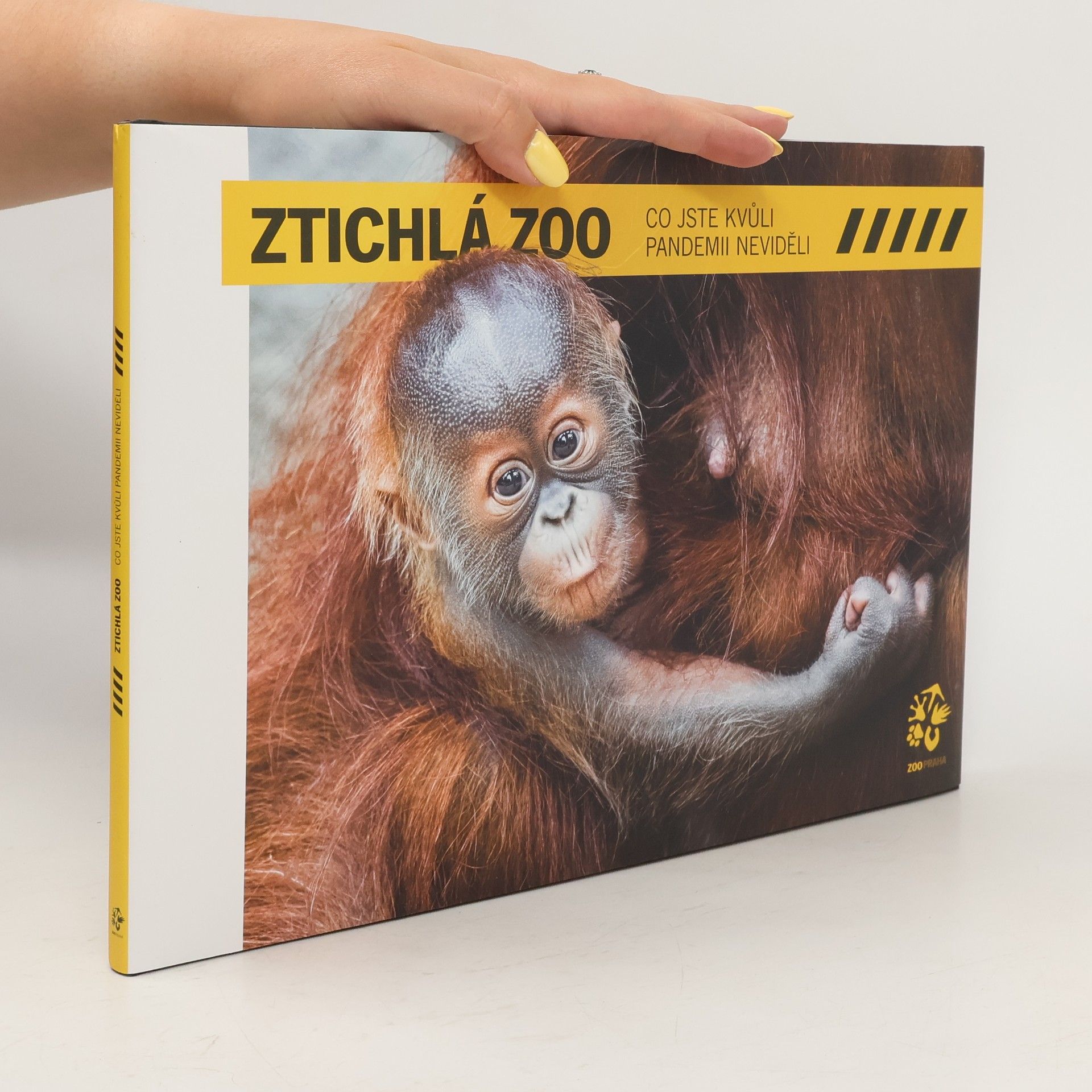 Ztichlá zoo: Co jste kvůli pandemii neviděli