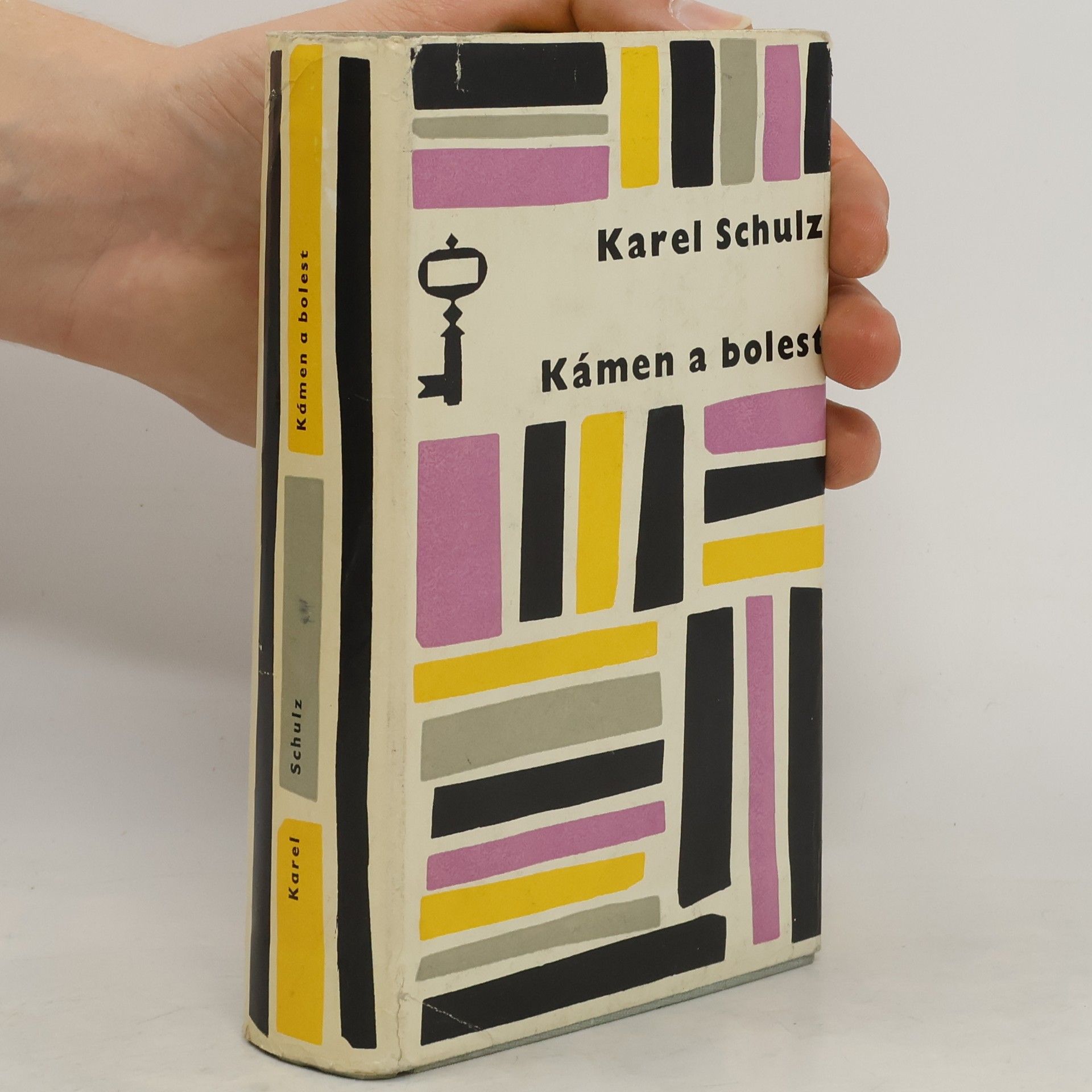 Karel Schulz Kámen a bolest