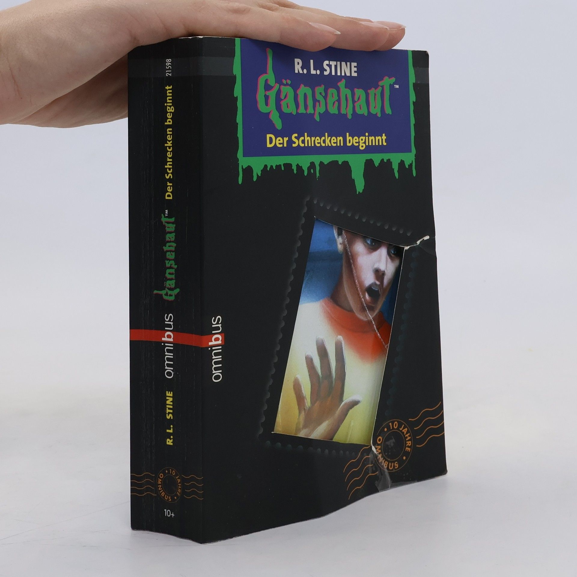 R. L. Stine Gänsehaut - der Schrecken beginnt