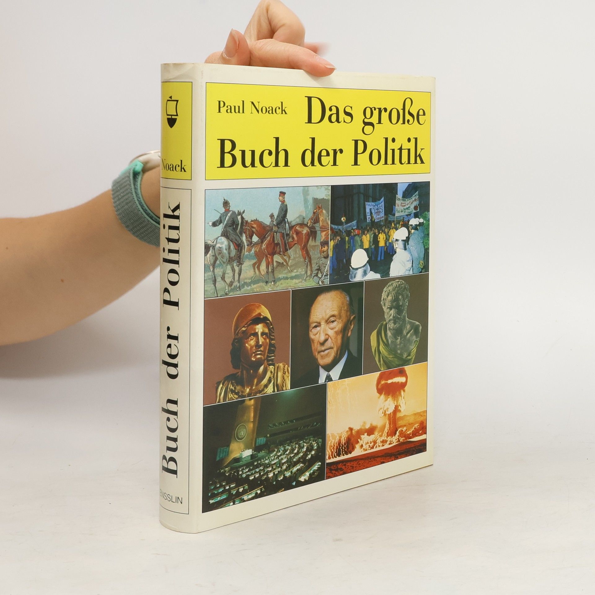 Paul Noack Das grosse Buch der Politik